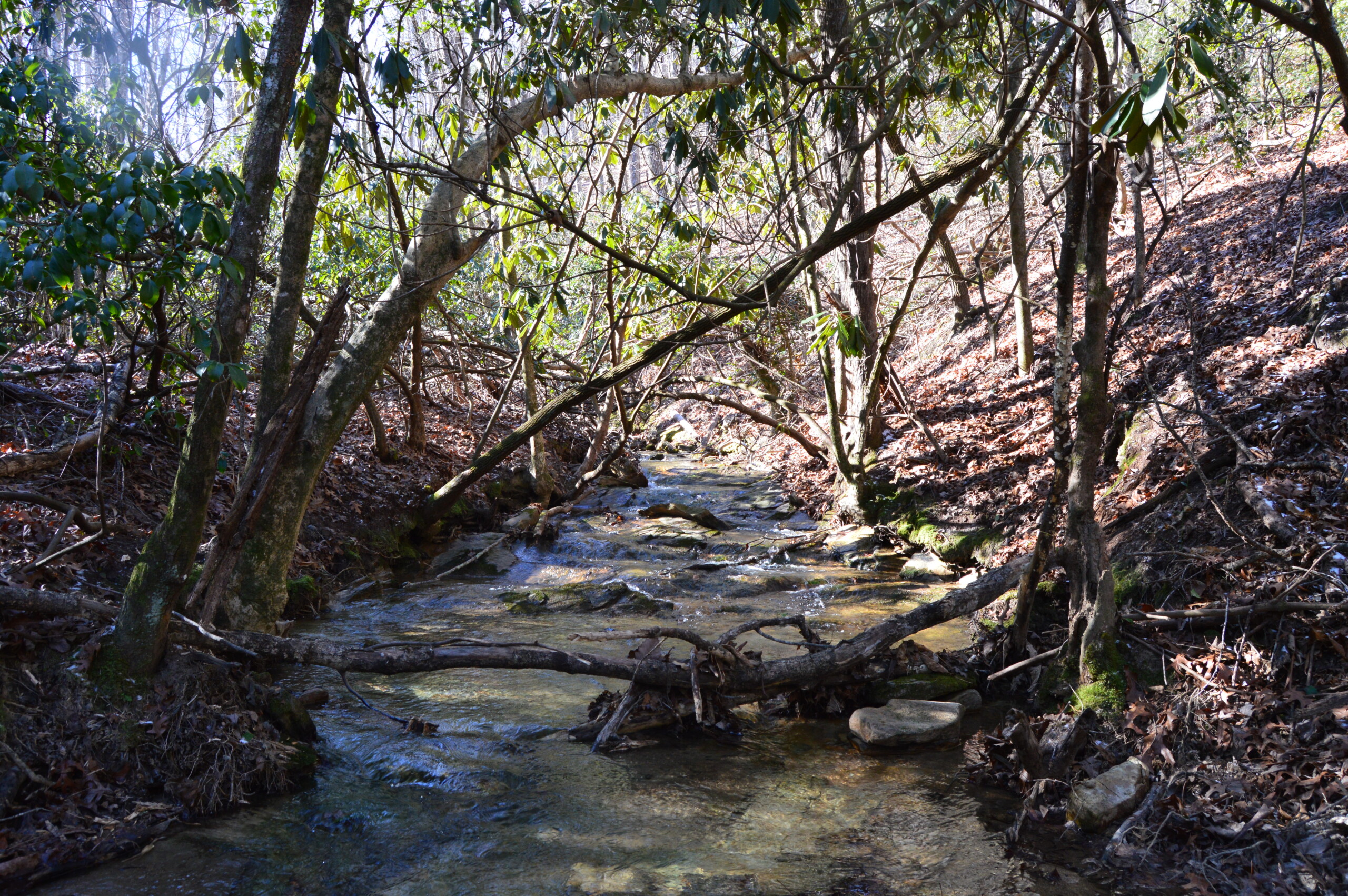 Hwy 8/89 Tract – C
