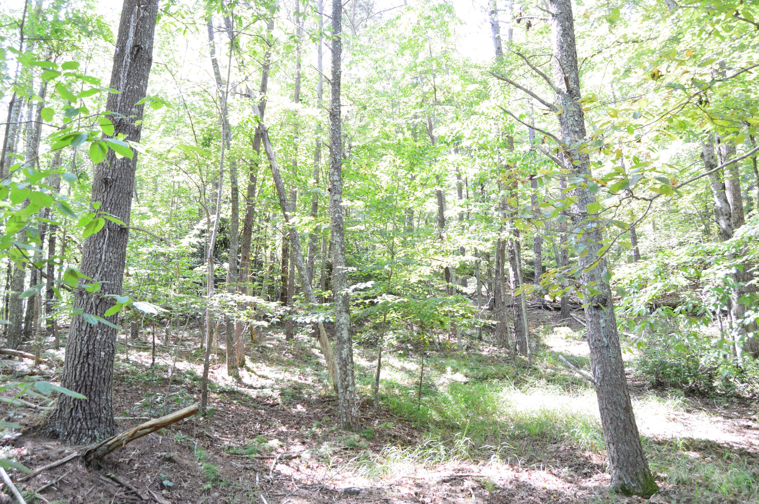 Hwy 8/89 Tract – C