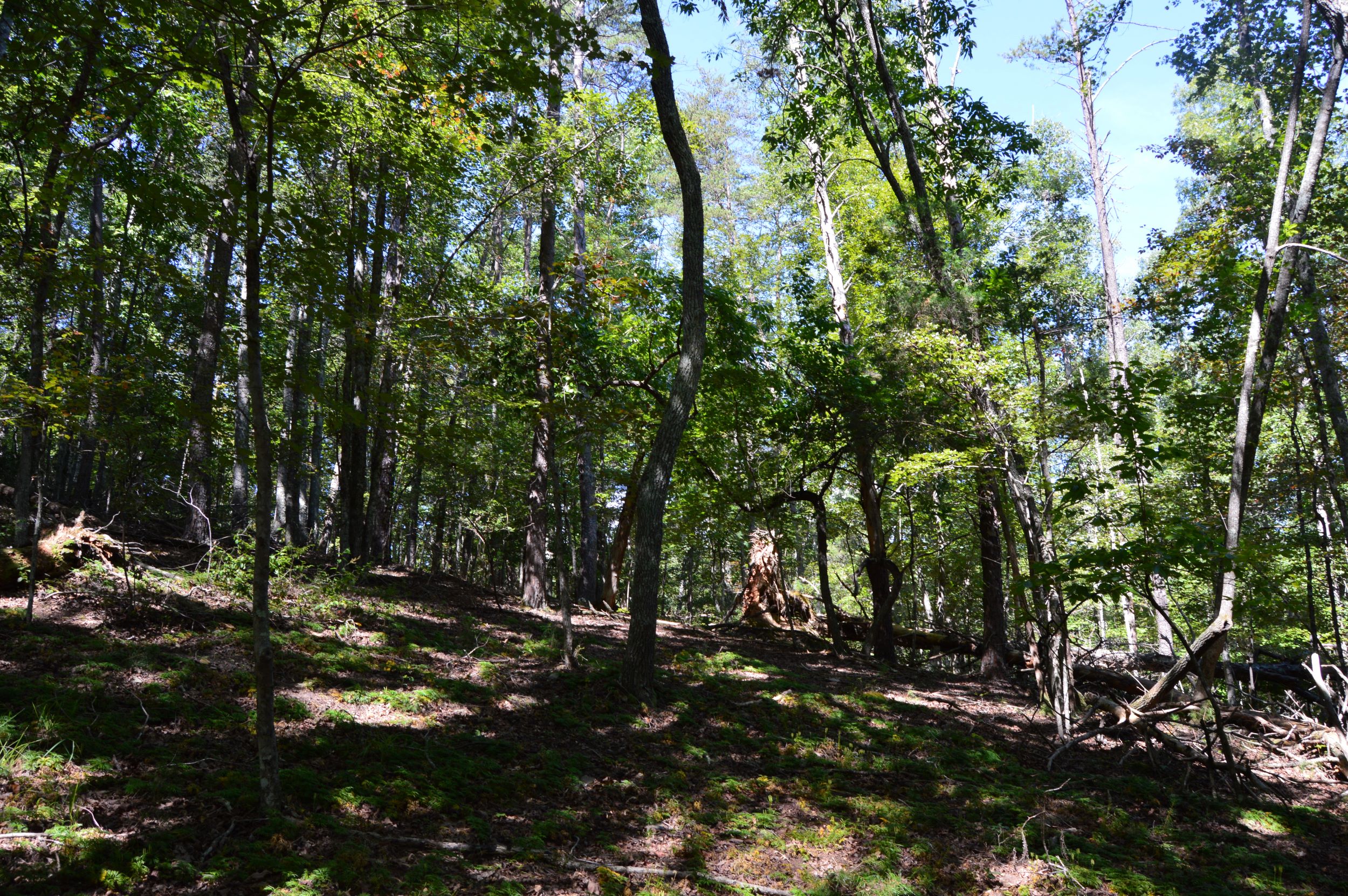 Hwy 8/89 Tract – C