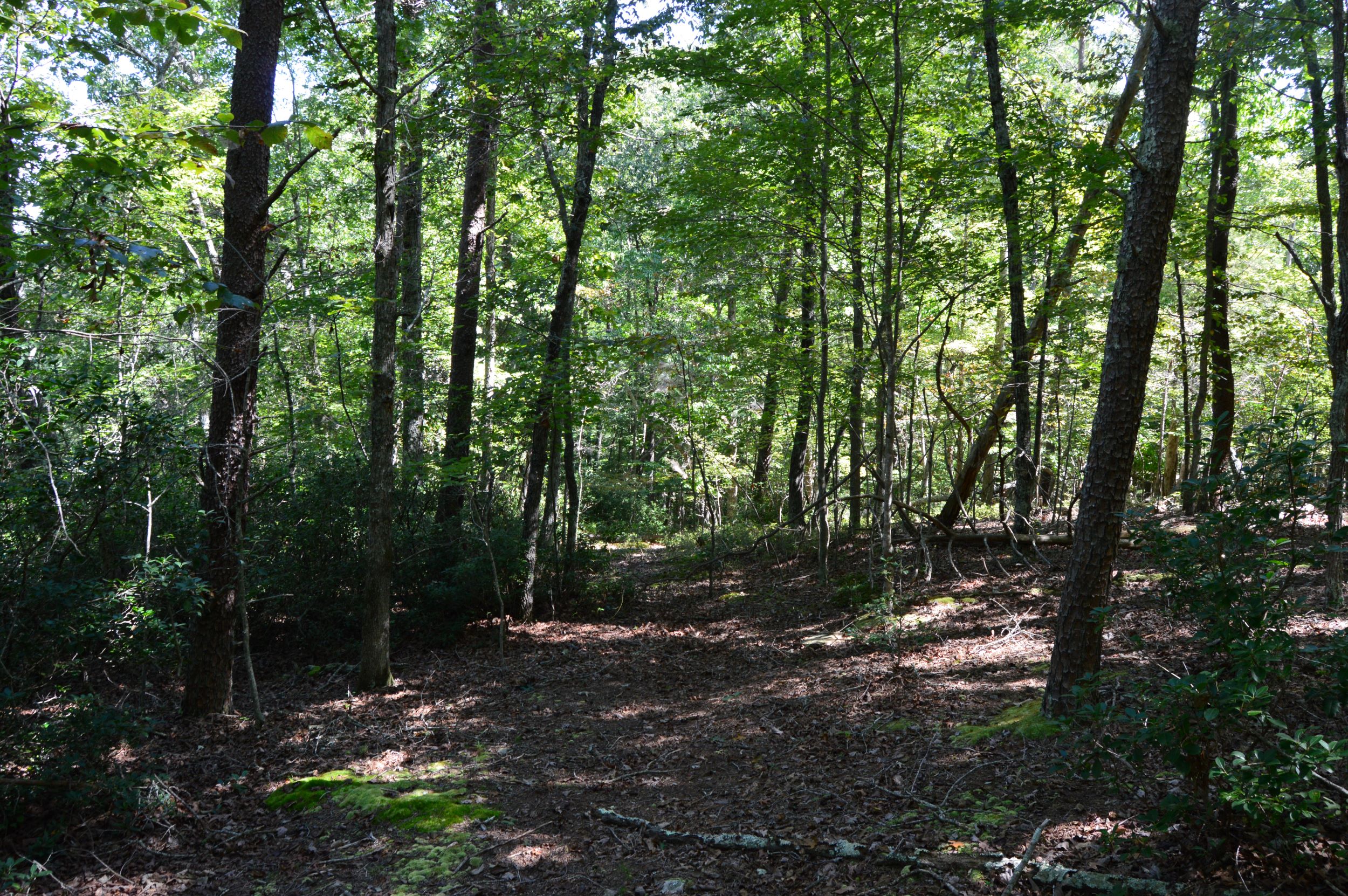 Hwy 8/89 Tract – C