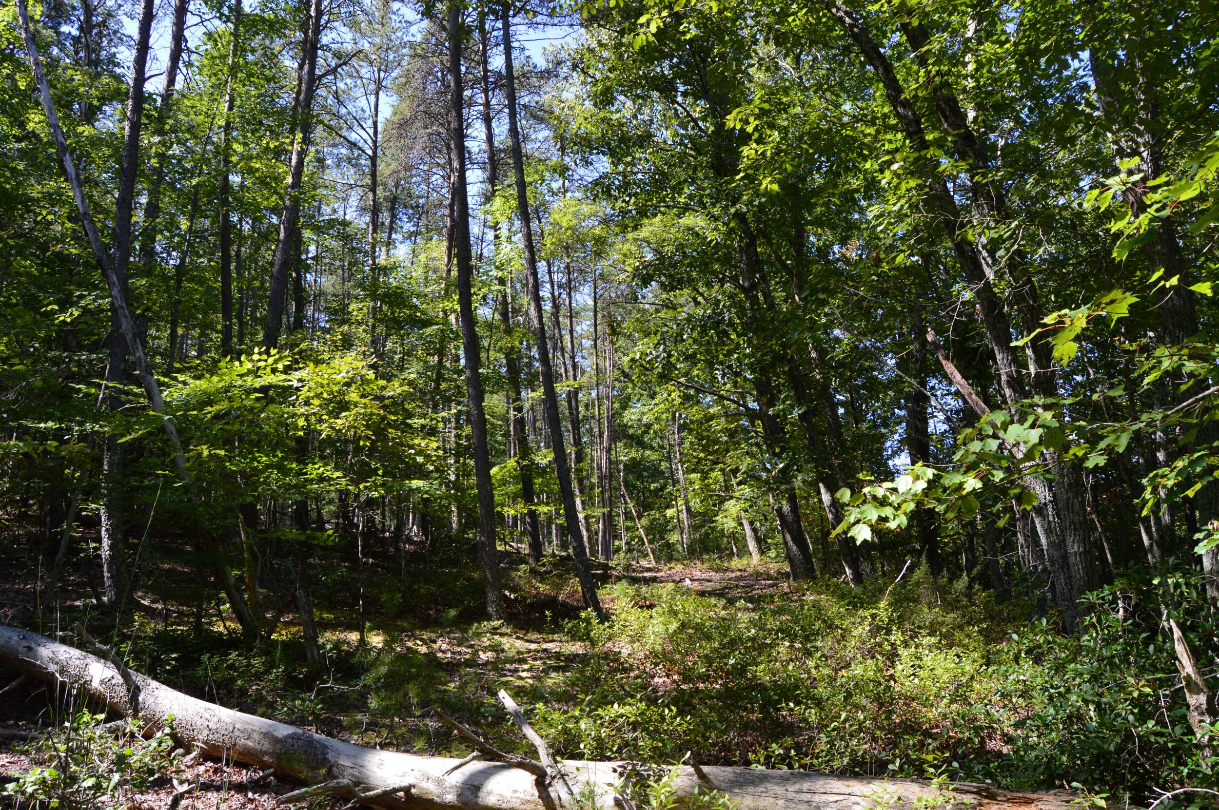 Hwy 8/89 Tract – C