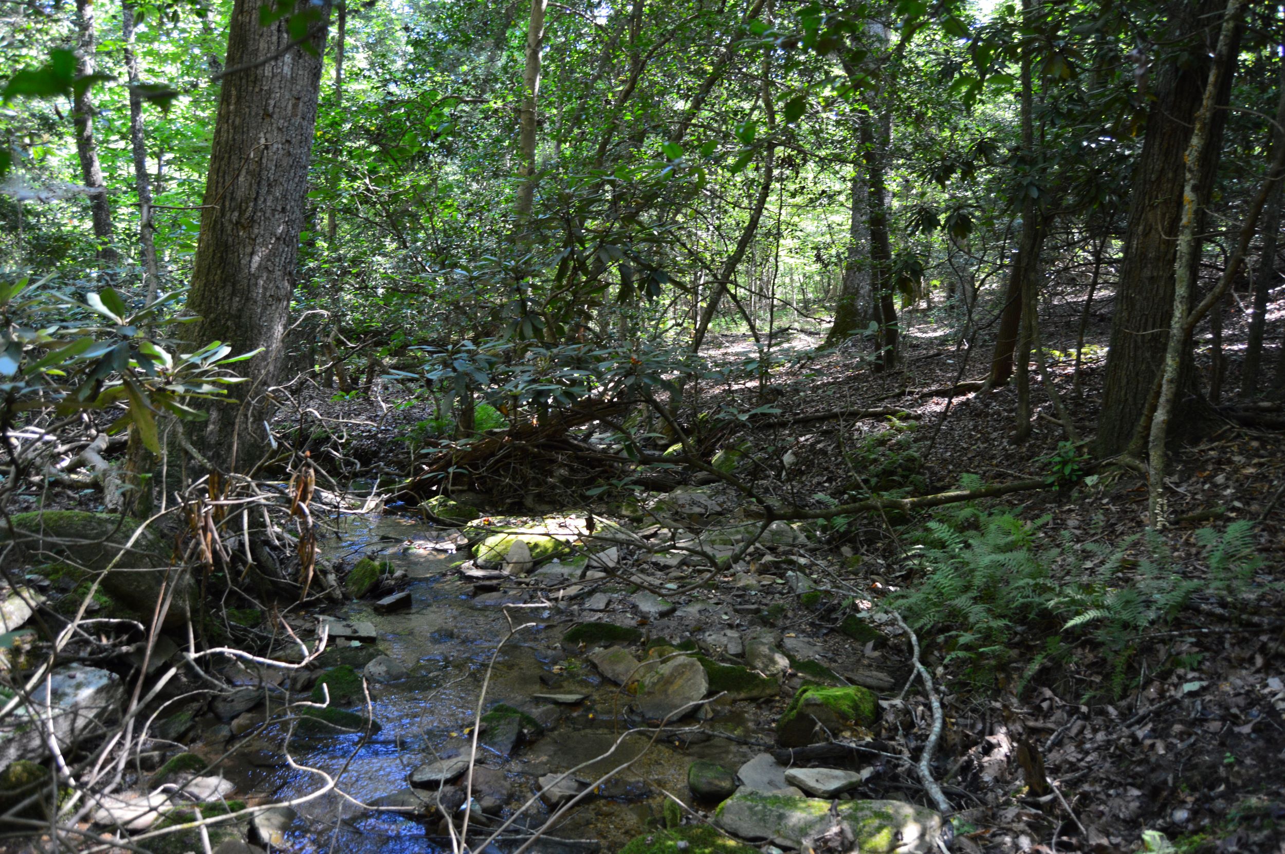 Hwy 8/89 Tract – C