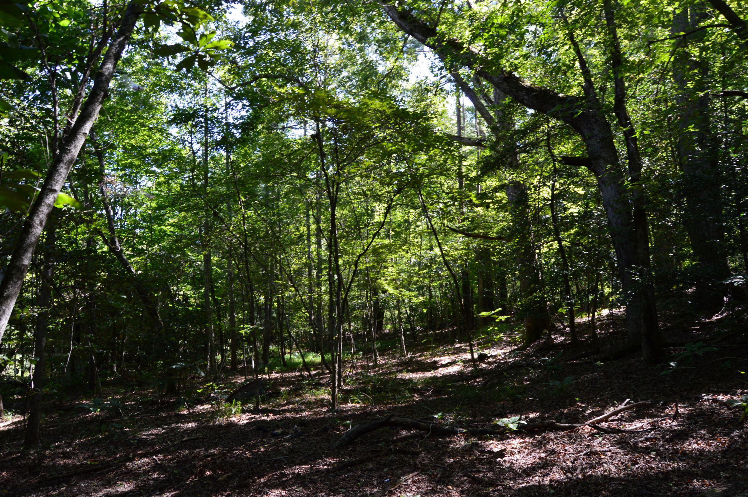 Hwy 8/89 Tract – C