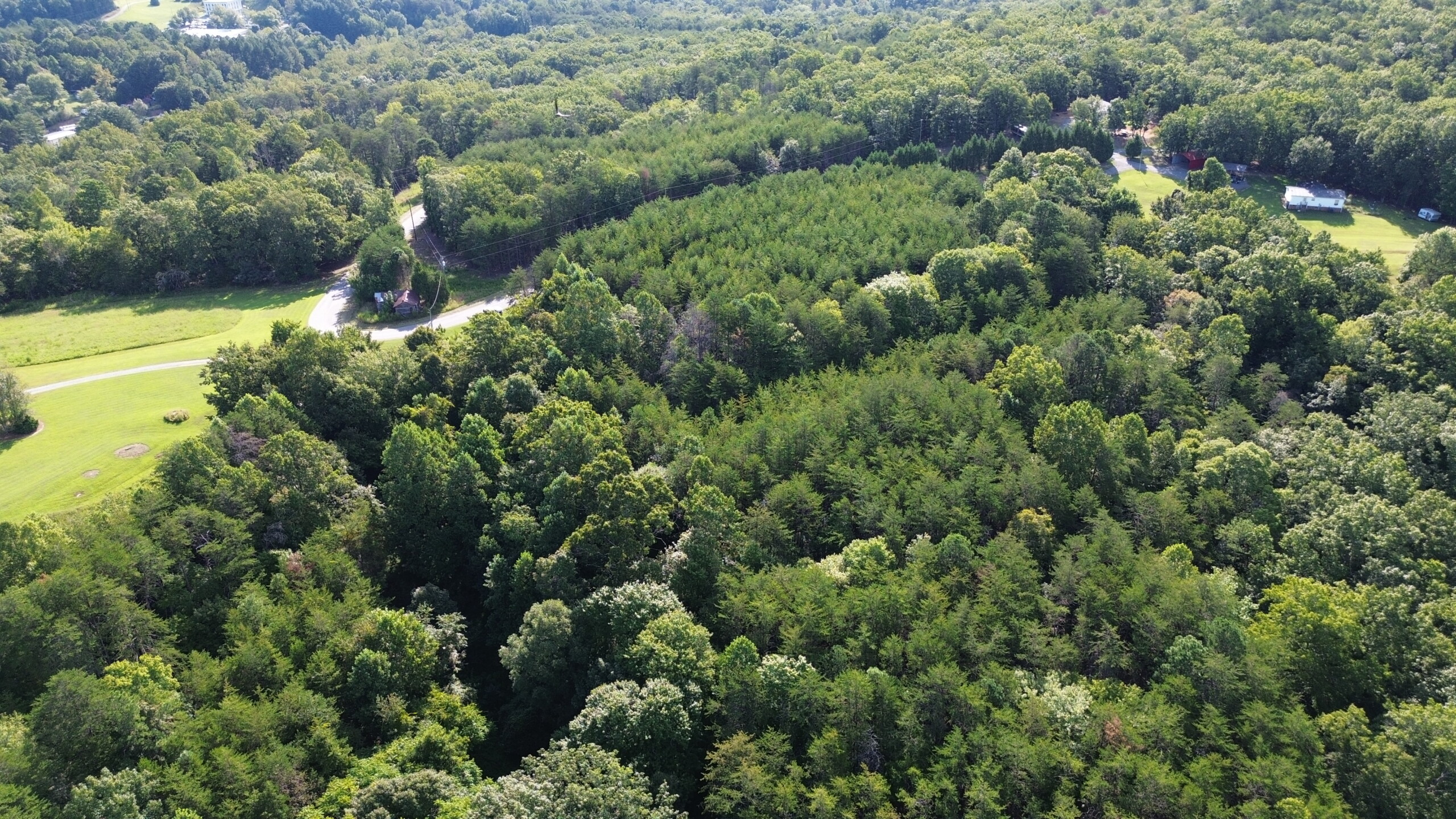 Hanging Rock Forest (Tract E) – 10.8+/- Acres