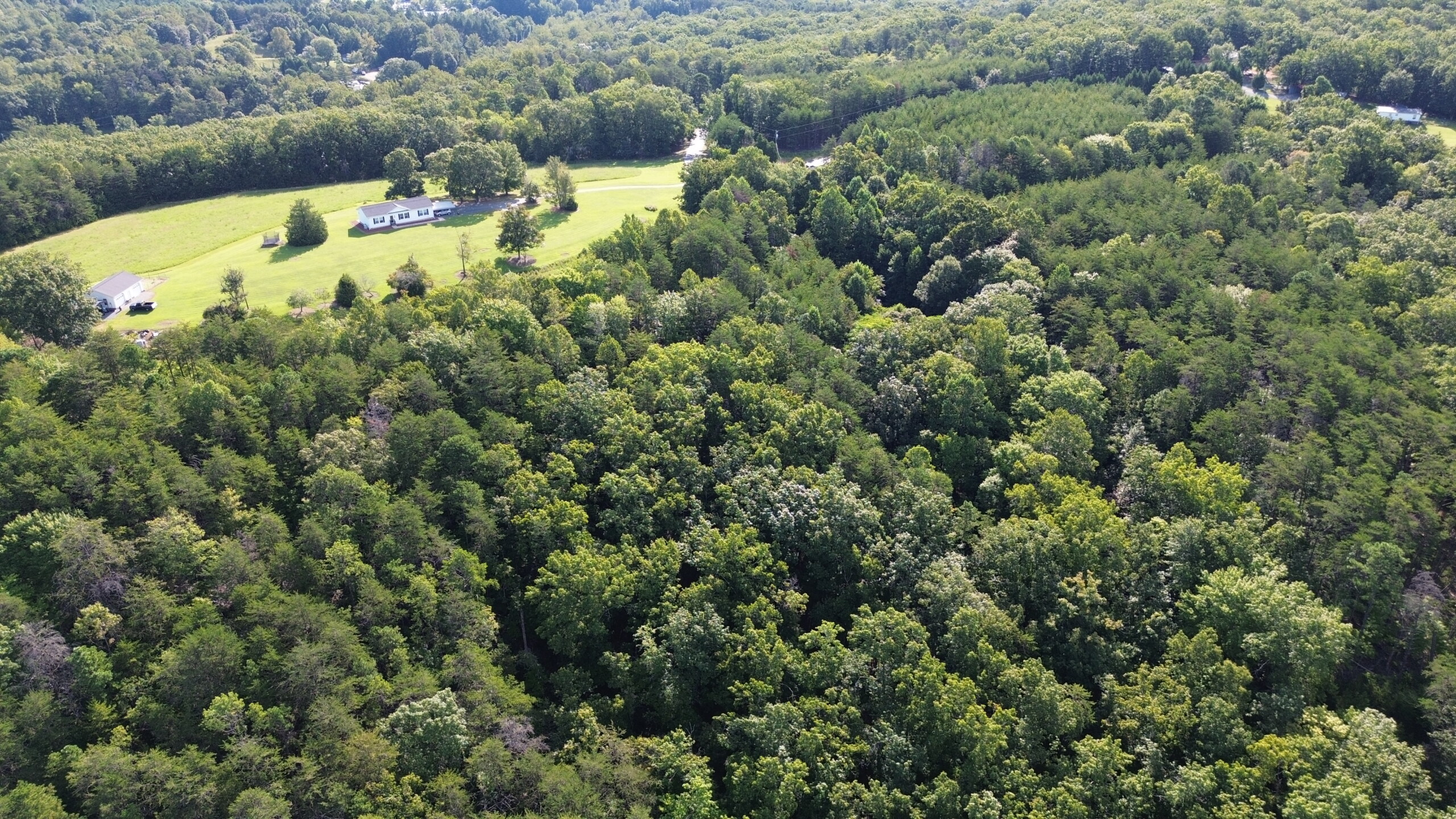 Hanging Rock Forest (Tract E) – 10.8+/- Acres