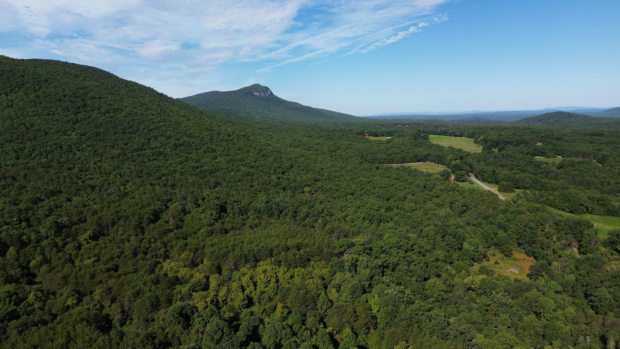 Hanging Rock Forest (Tract E) – 10.8+/- Acres
