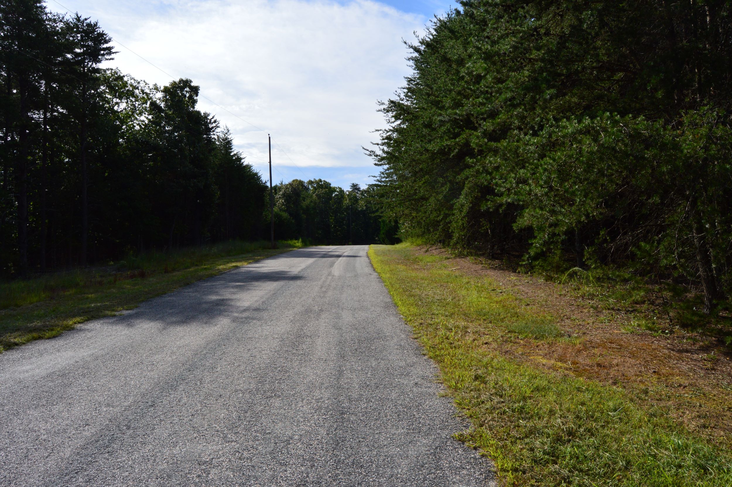 Hanging Rock Forest (Tract E) – 10.8+/- Acres