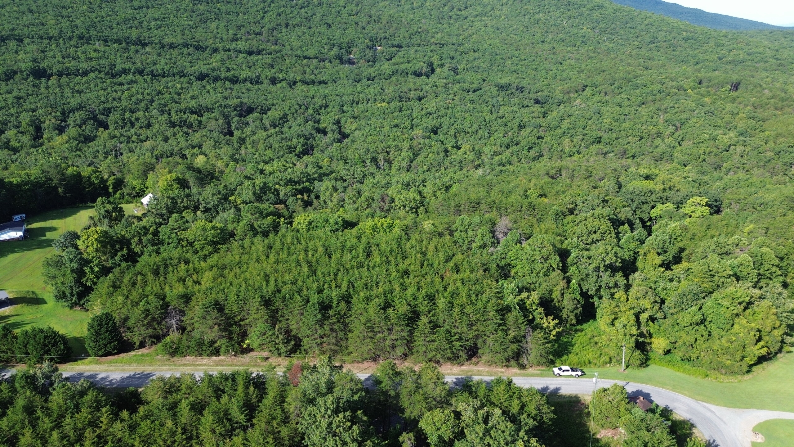 DCIM100MEDIADJI_0494.JPG Hanging Rock Forest (Tract D) – 14+/- Acres