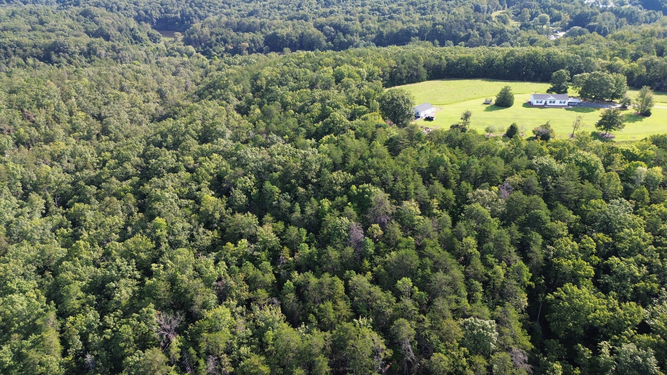 DCIM100MEDIADJI_0508.JPG Hanging Rock Forest (Tract D) – 14+/- Acres