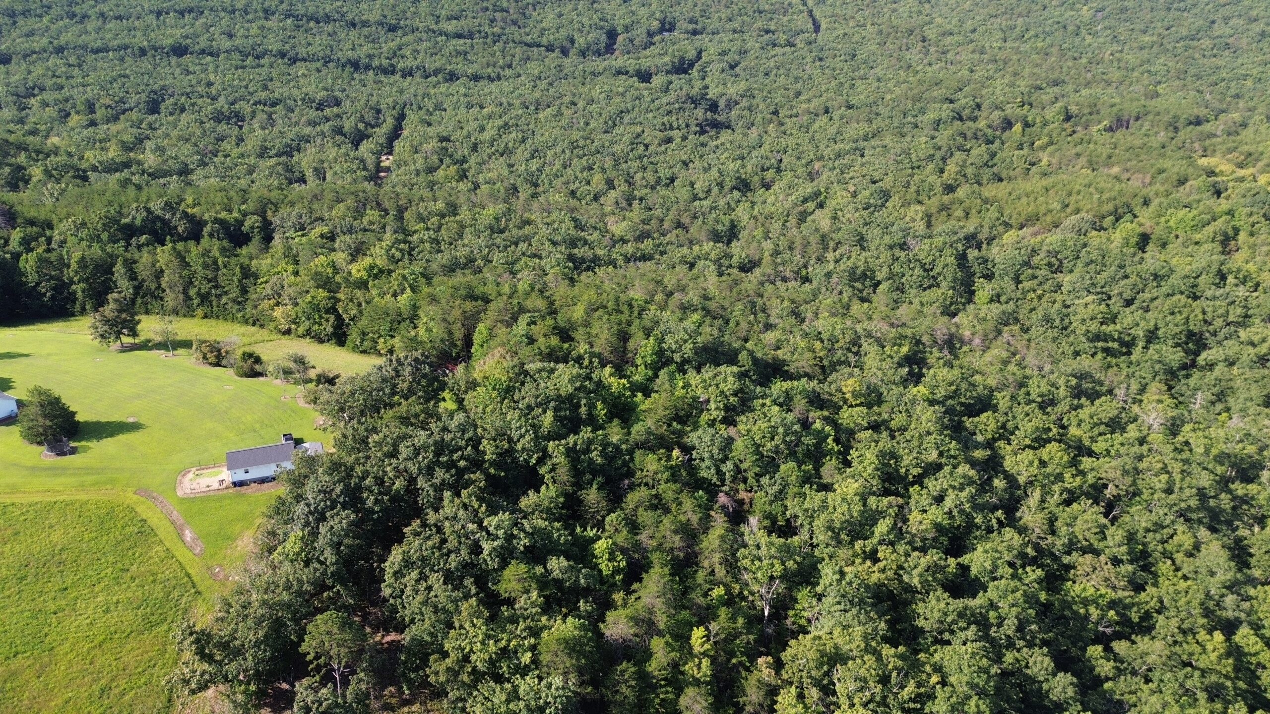 DCIM100MEDIADJI_0511.JPG Hanging Rock Forest (Tract D) – 14+/- Acres