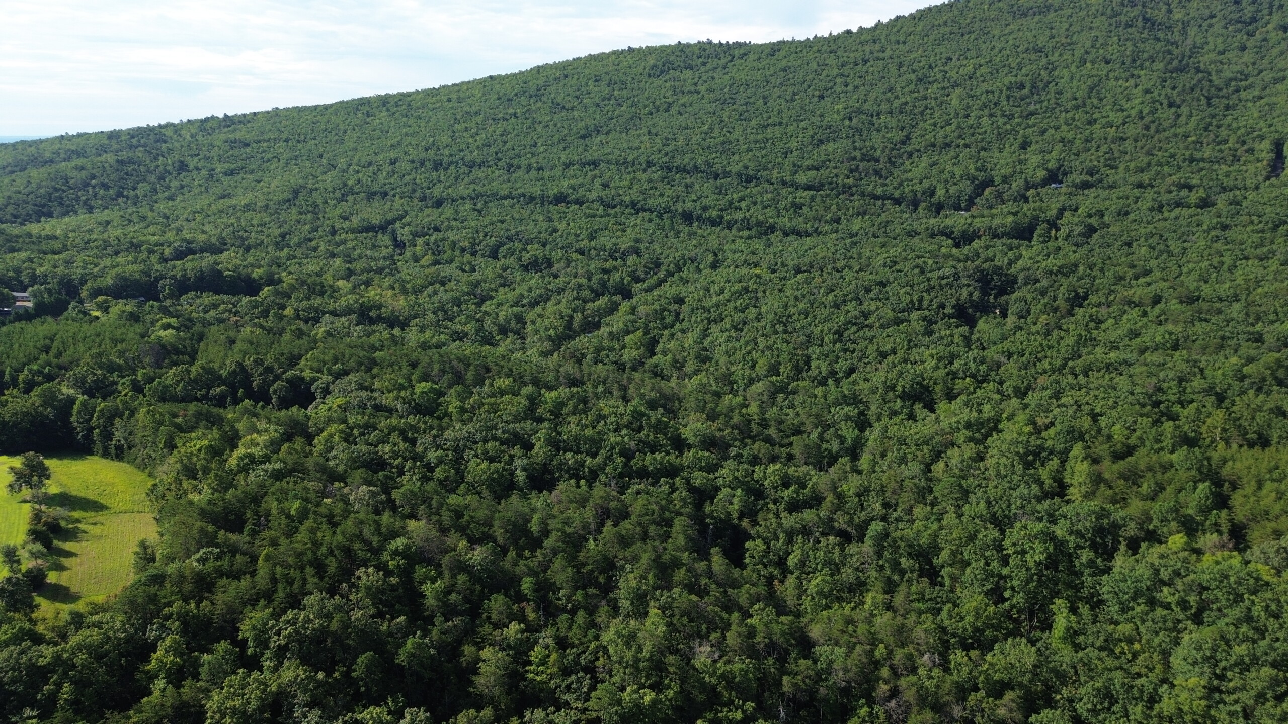 DCIM100MEDIADJI_0512.JPG Hanging Rock Forest (Tract D) – 14+/- Acres