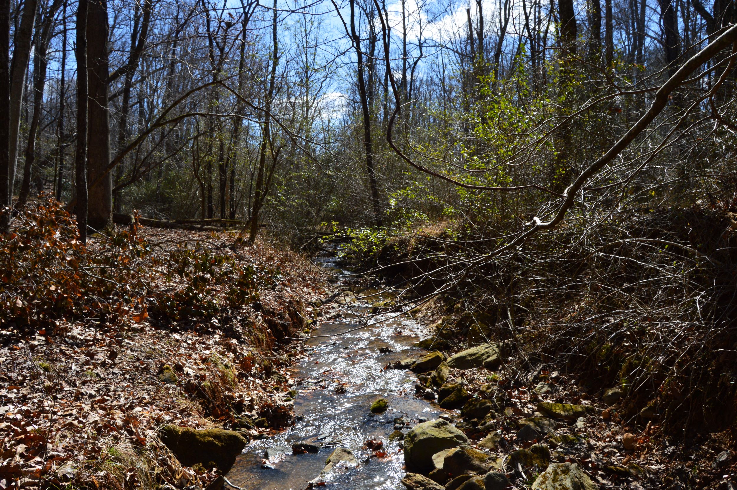 Cook School Rd