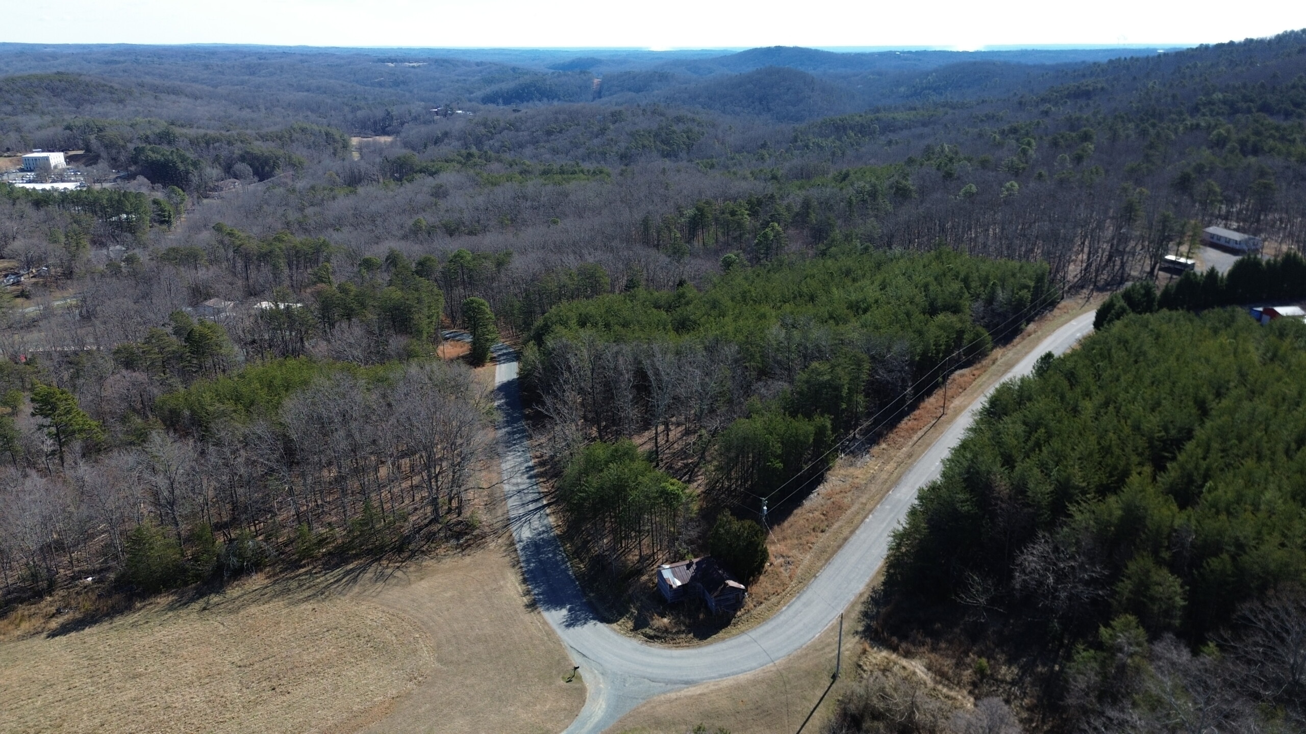 Hanging Rock Forest – Tract H