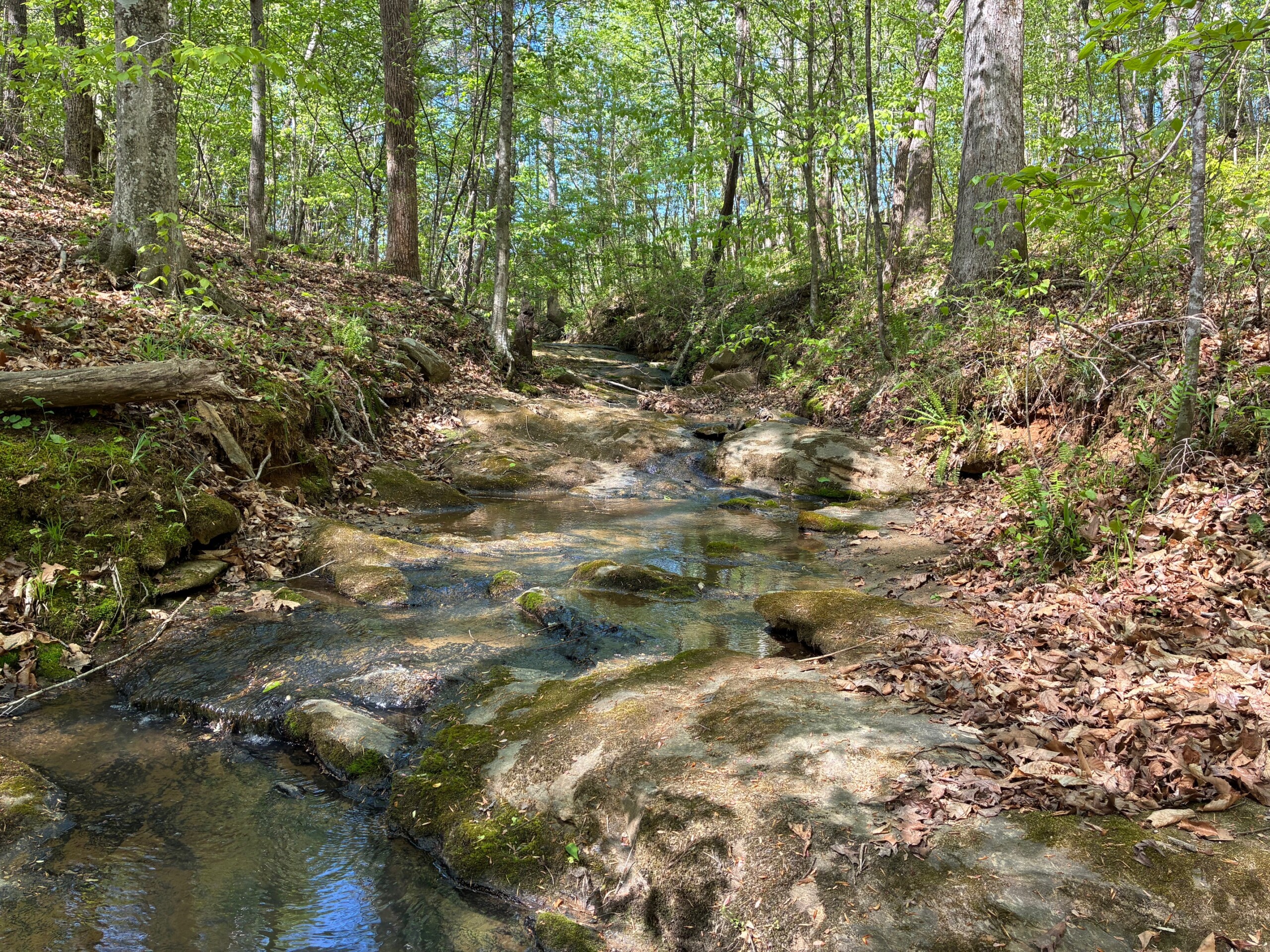 Tom Mix – Shaw Tract