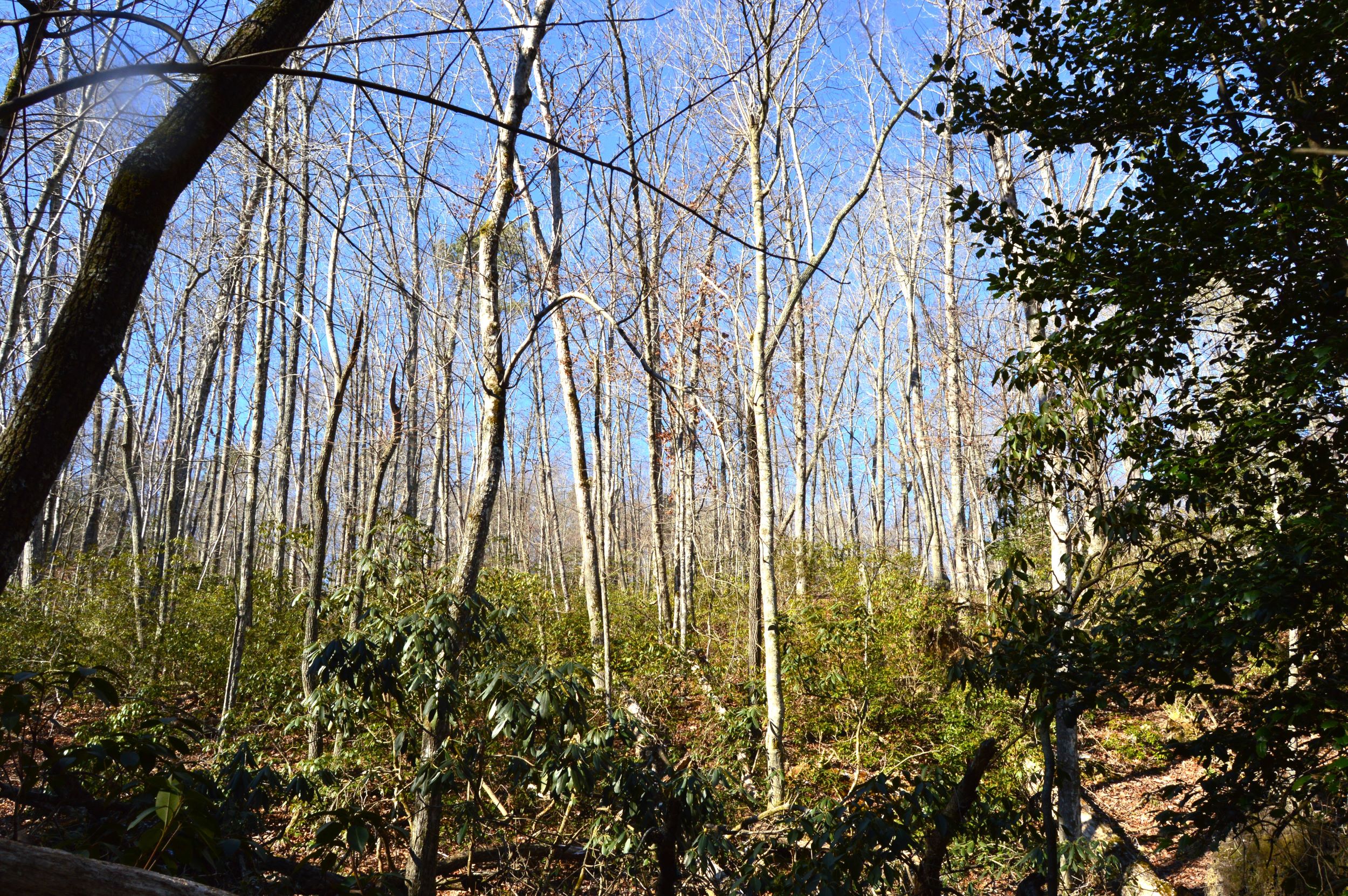 Hanging Rock Park Rd