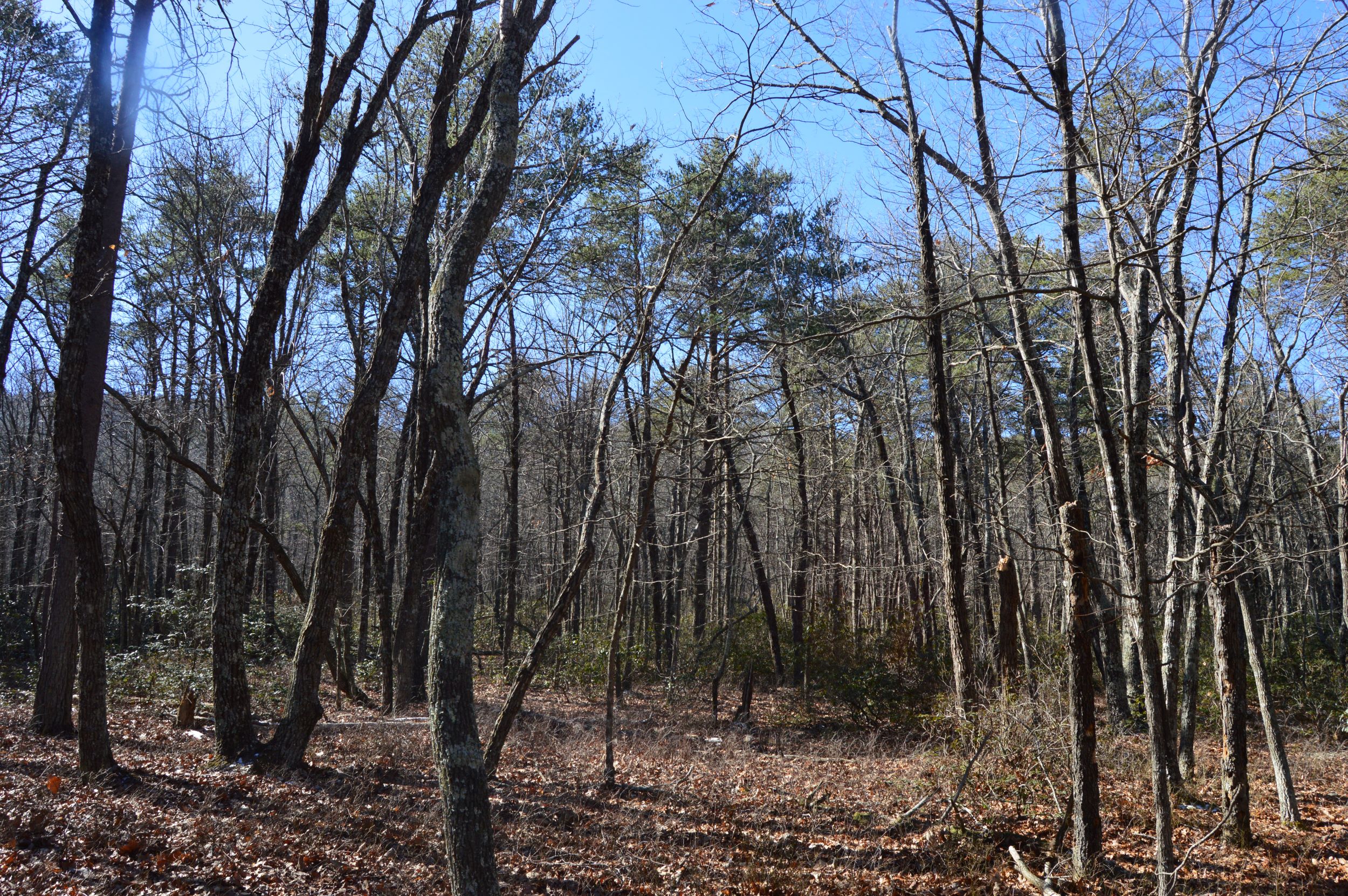 Hanging Rock Park Rd