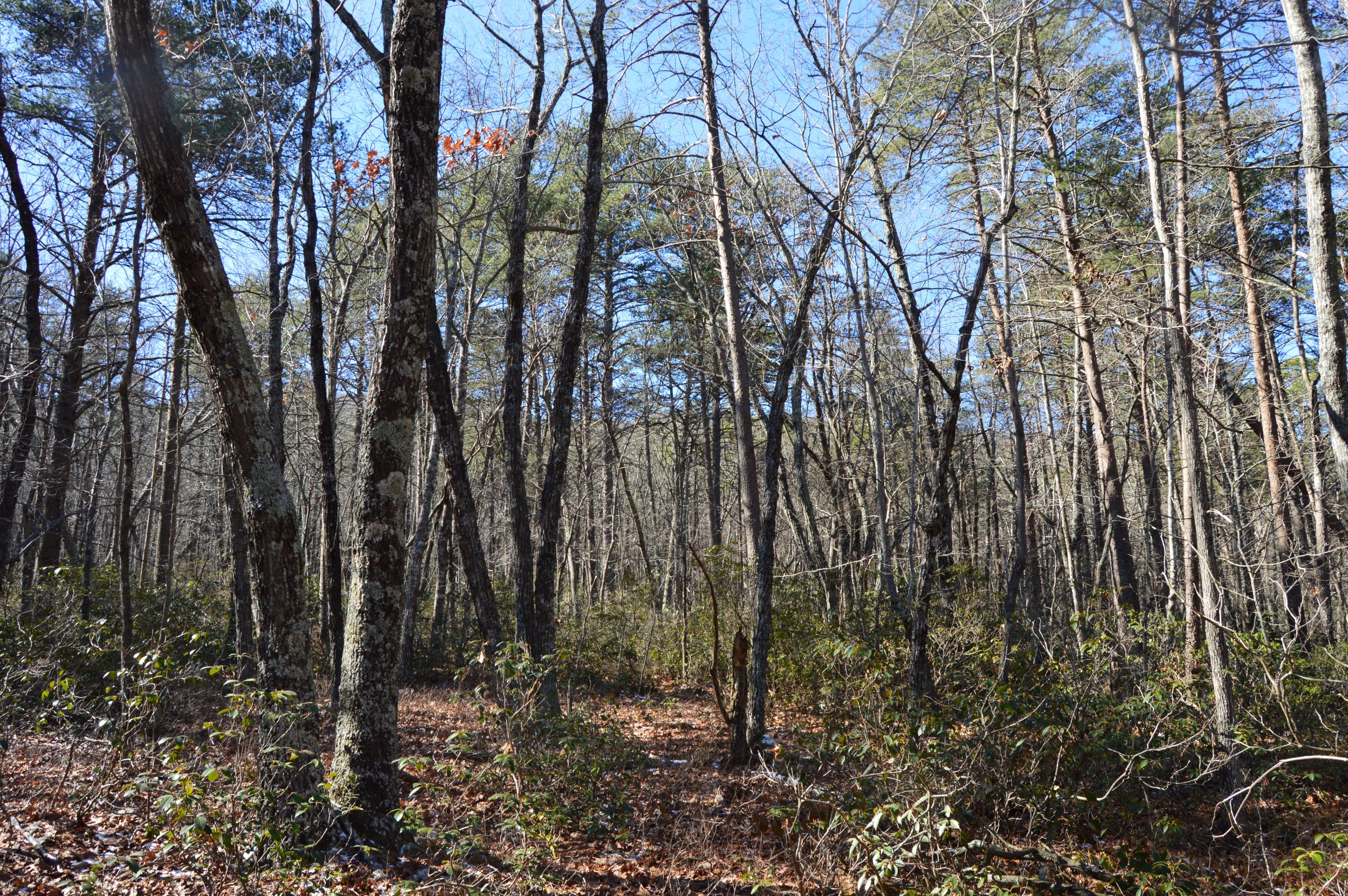 Hanging Rock Park Rd