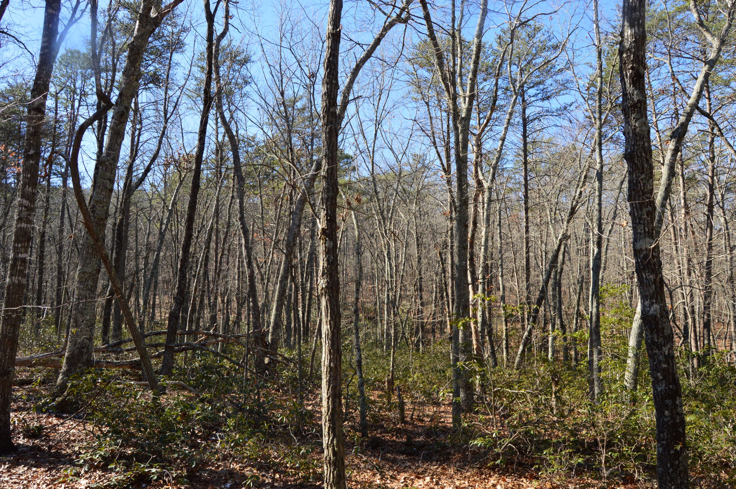 Hanging Rock Park Rd