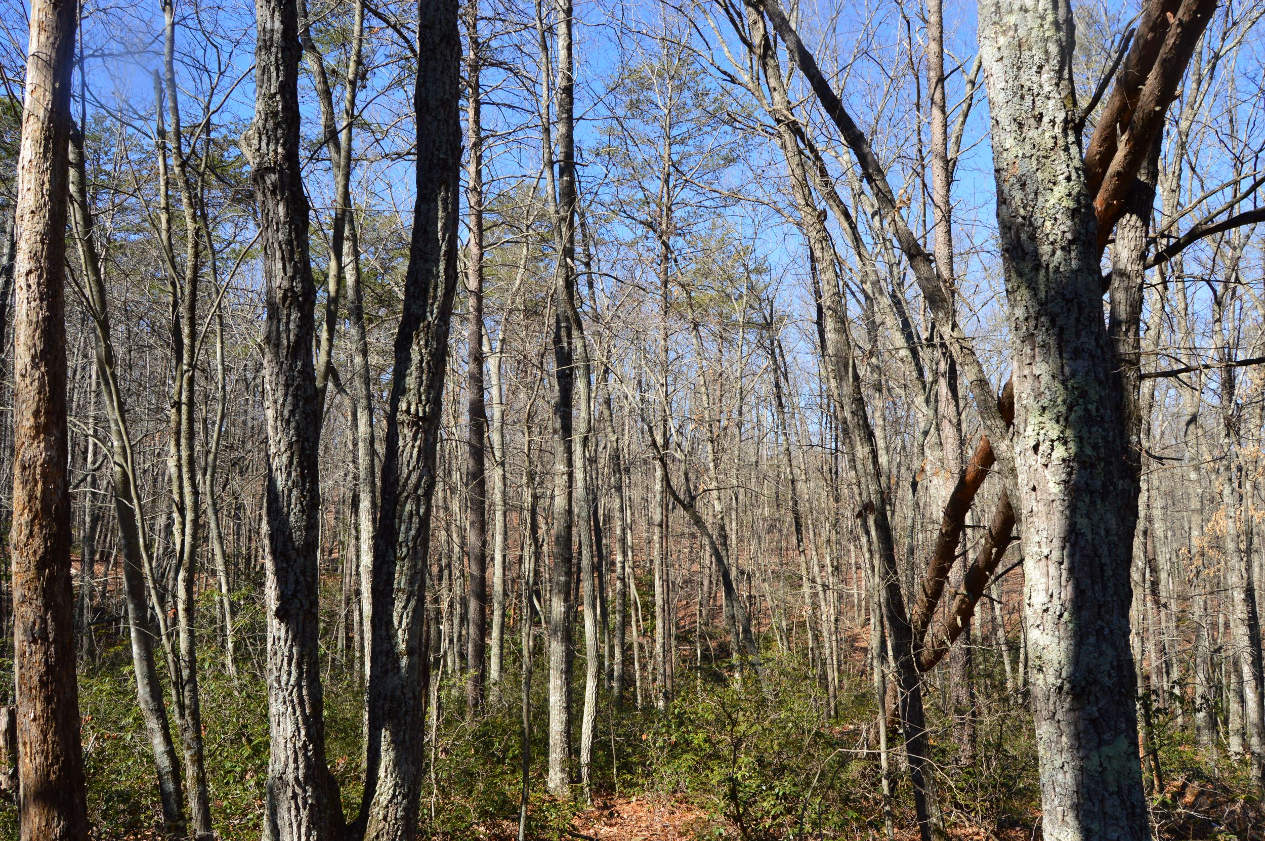 Hanging Rock Park Rd