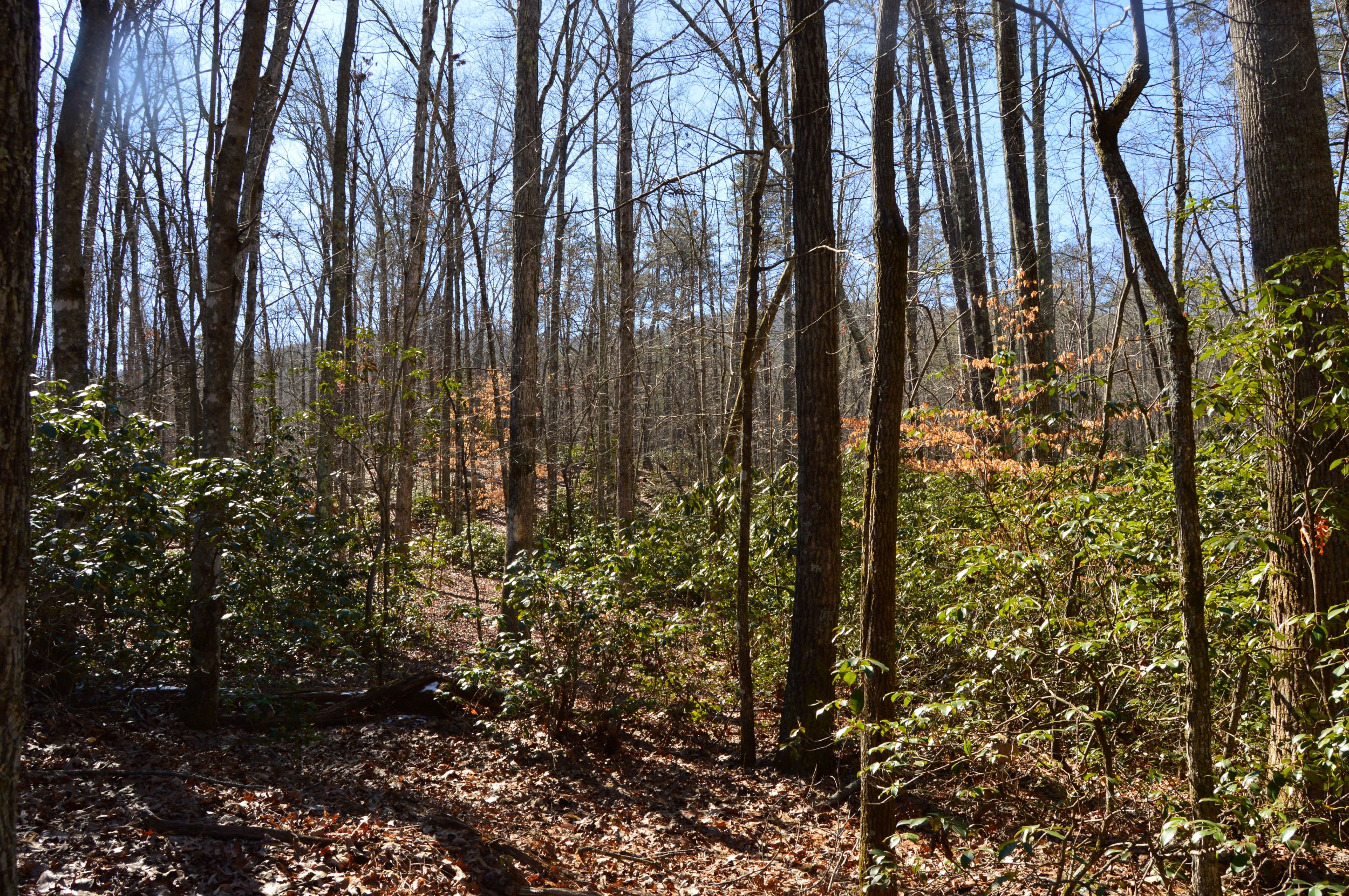 Hanging Rock Park Rd