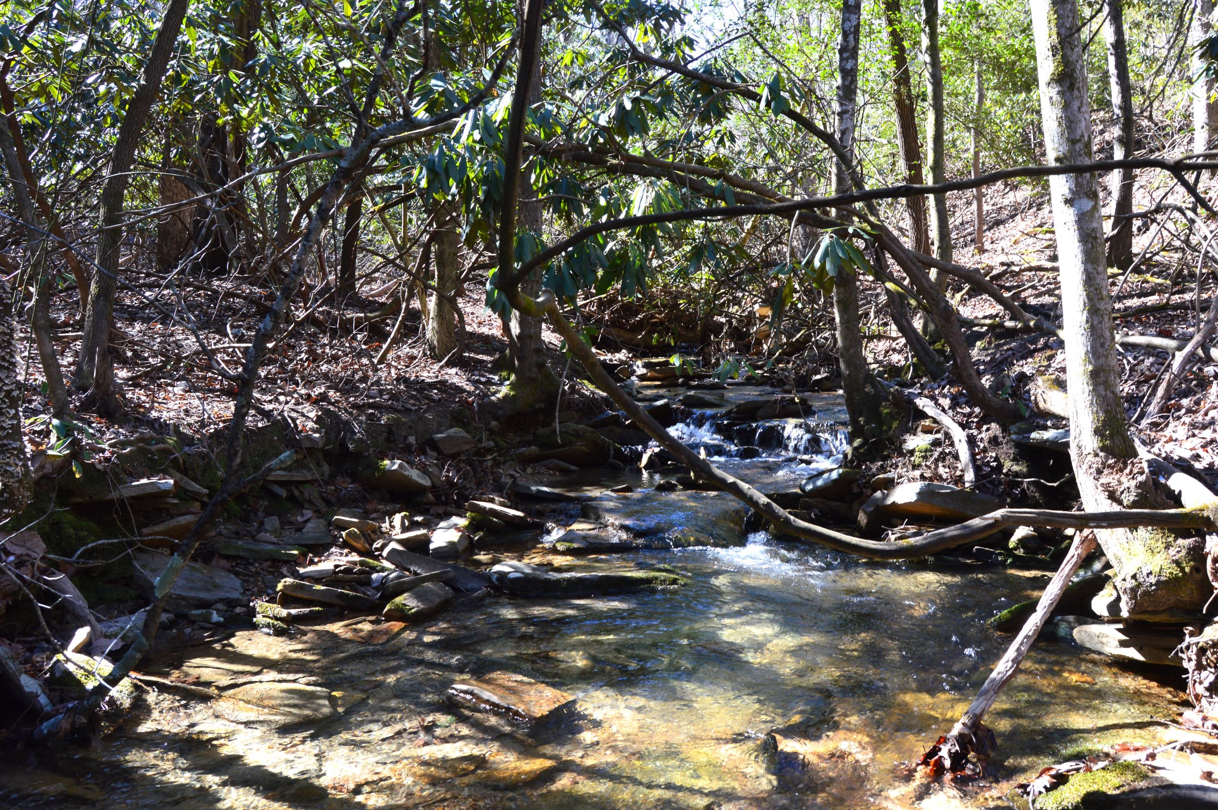 Taylor Lake Tract