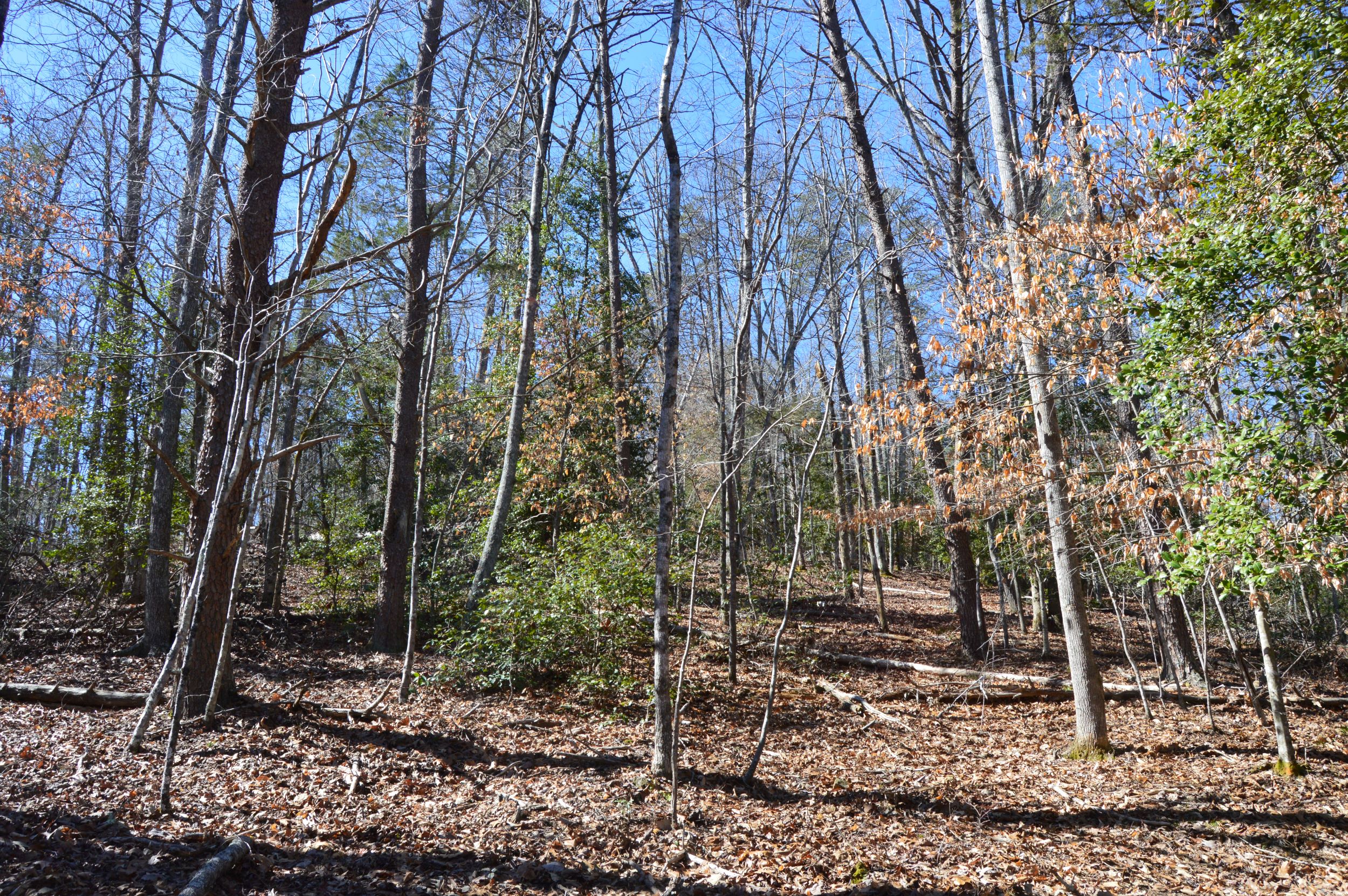 Hanging Rock Park Rd