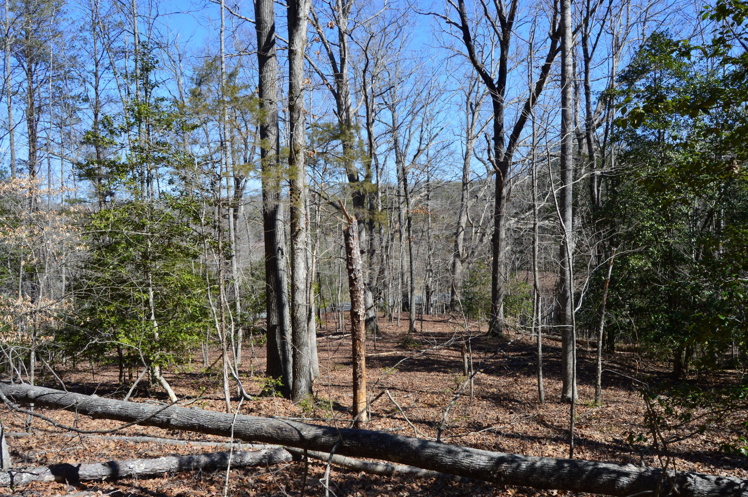 Hanging Rock Park Rd