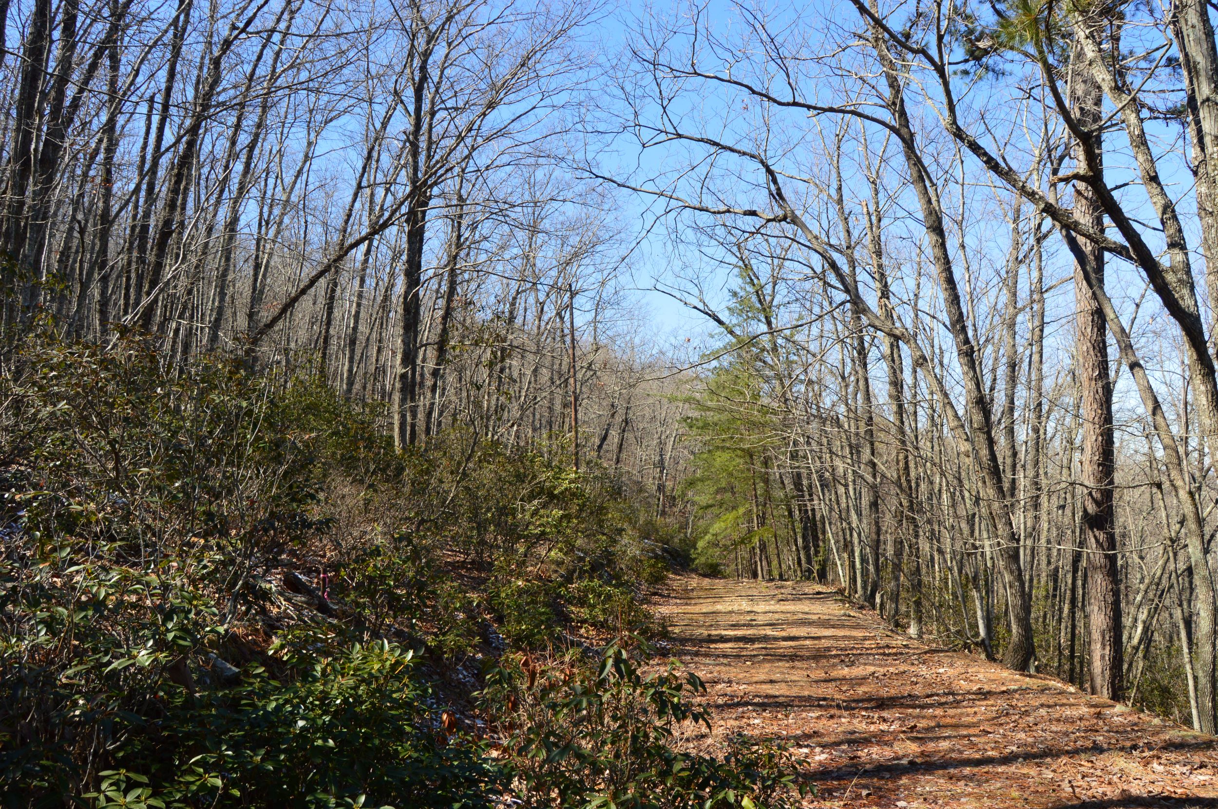 Hanging Rock Park Rd