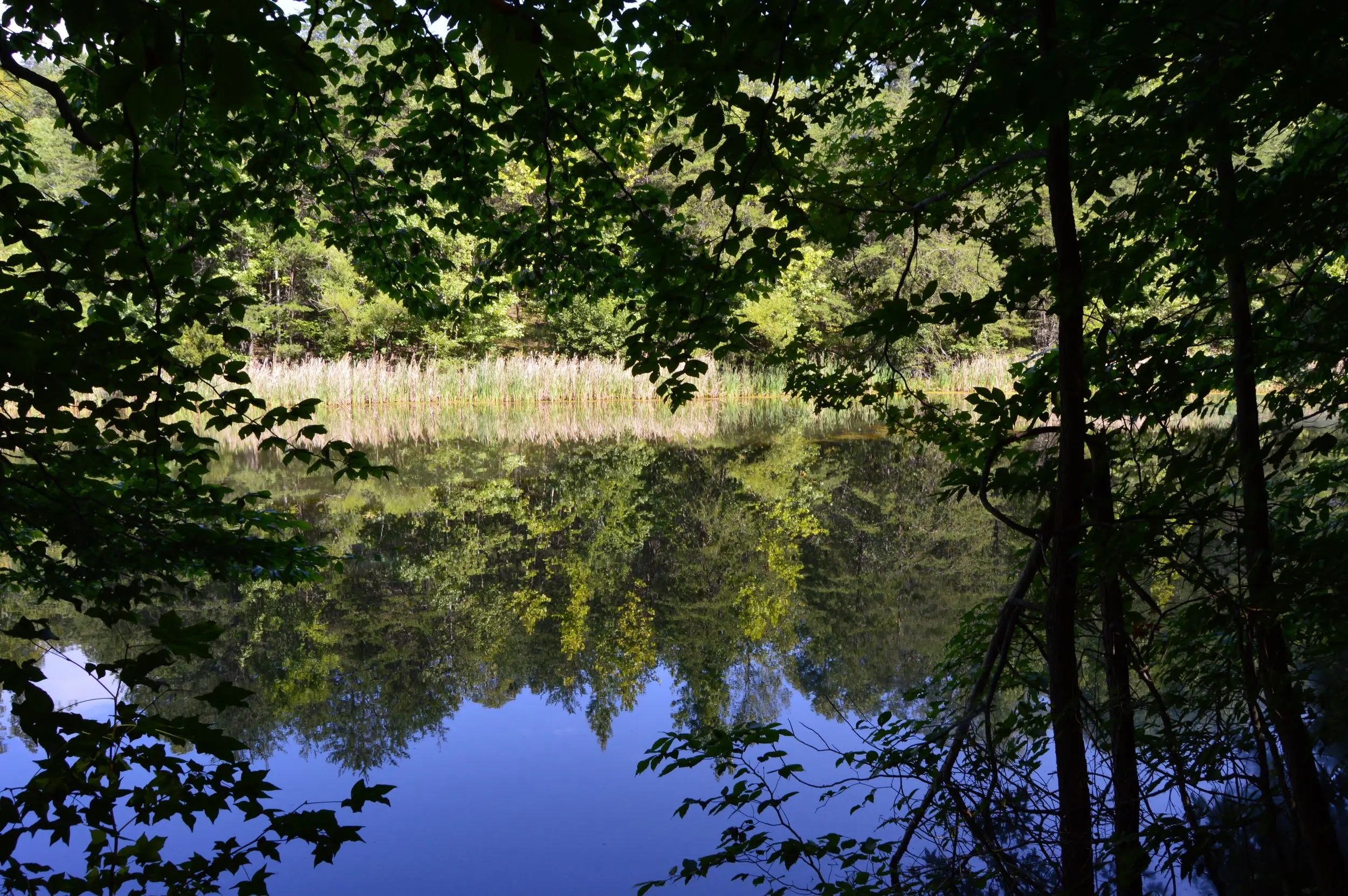 Hancock / Butter RD