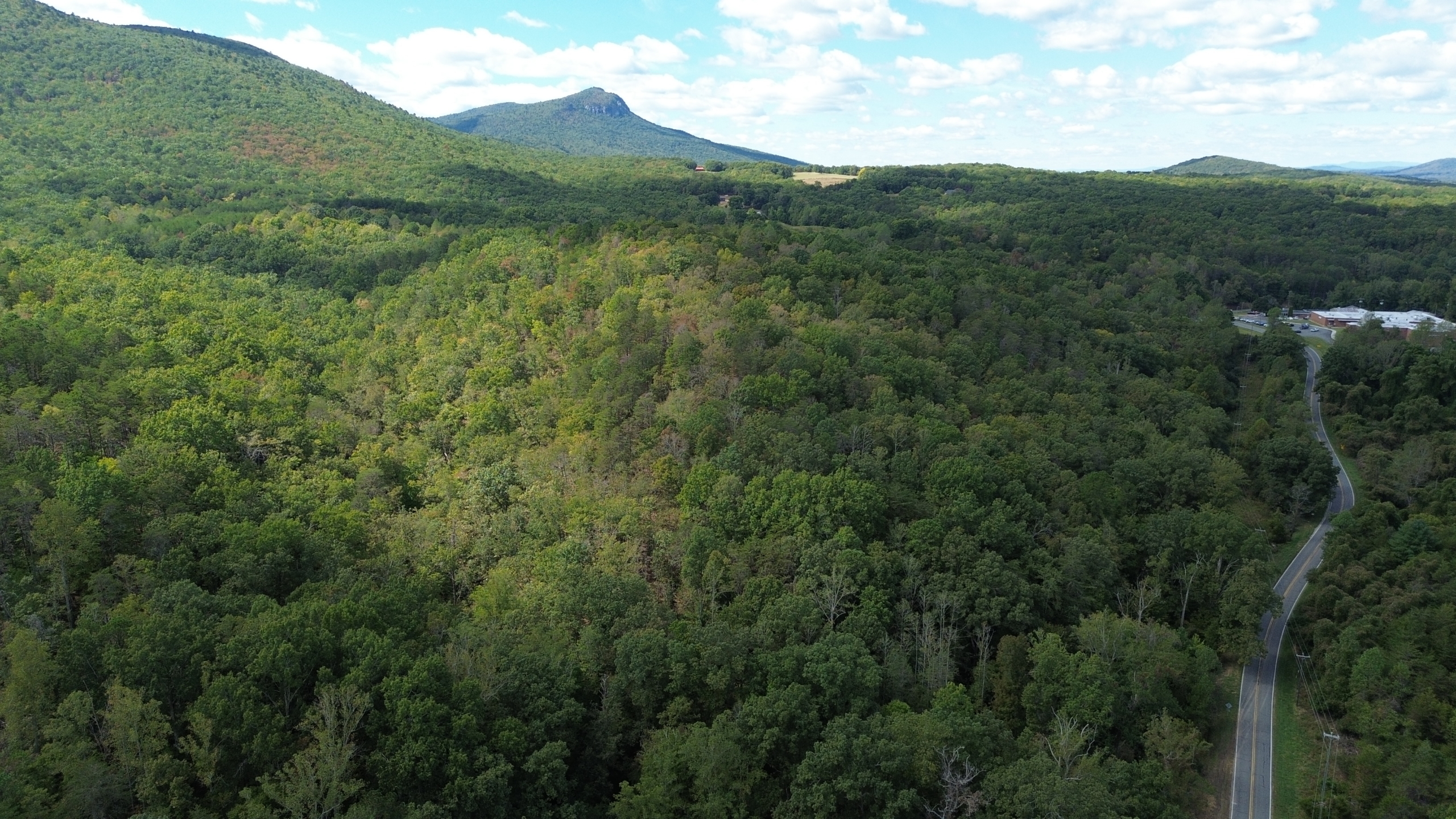 Taylor Lake Tract – 97 AC