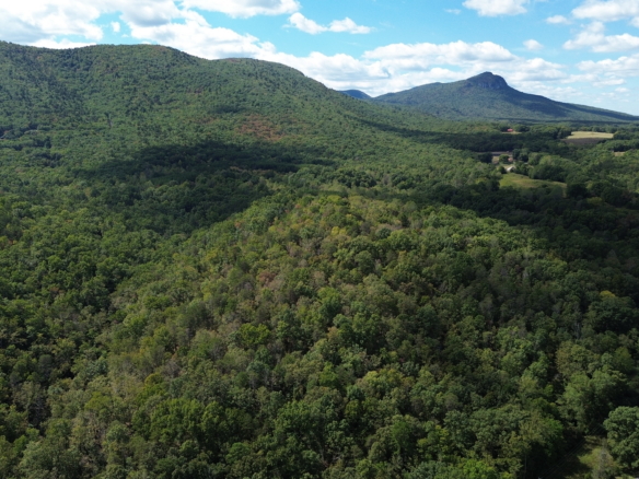Taylor Lake Tract – 97 AC