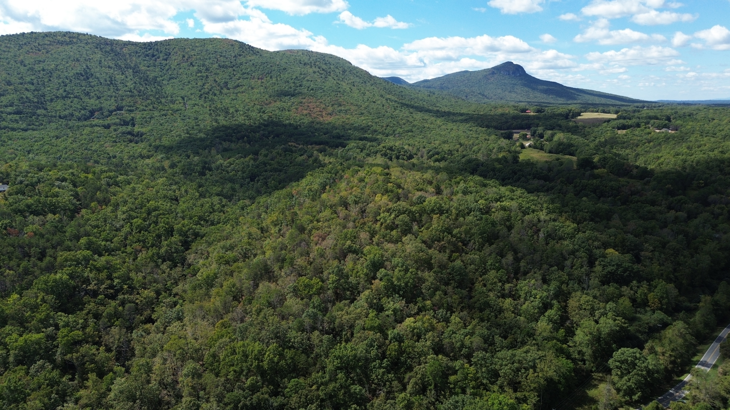 Taylor Lake Tract – 97 AC