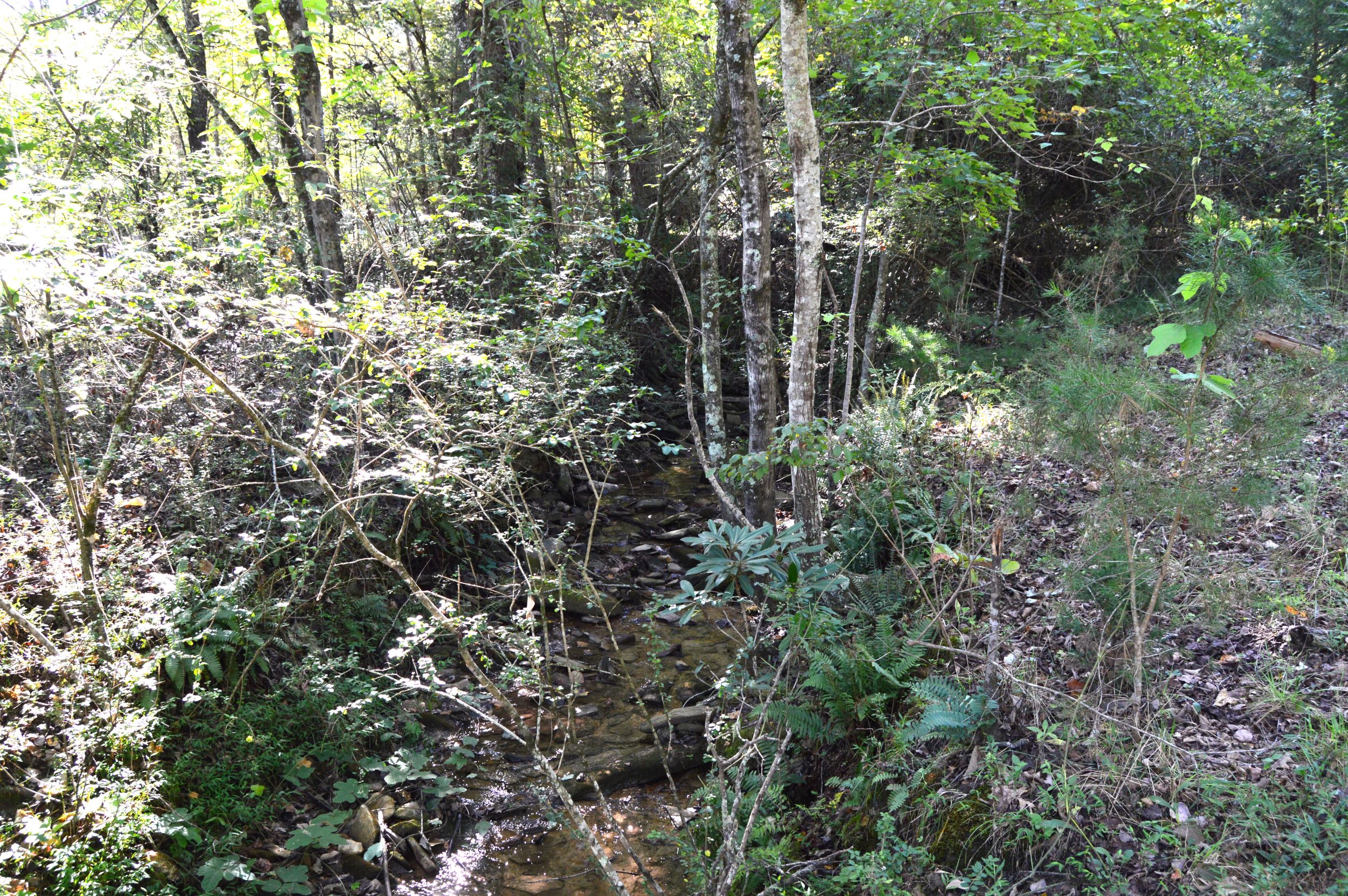 Taylor Lake Tract – 97 AC