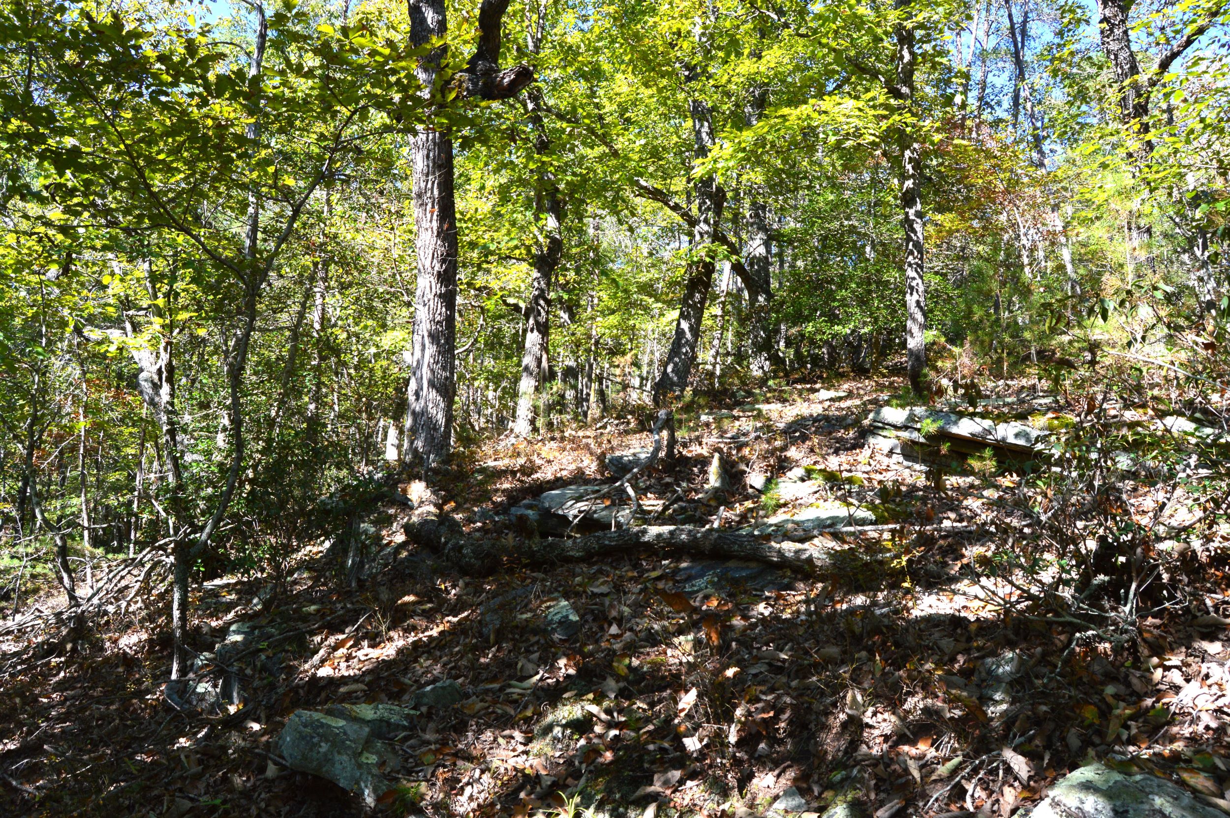 Taylor Lake Tract – 97 AC