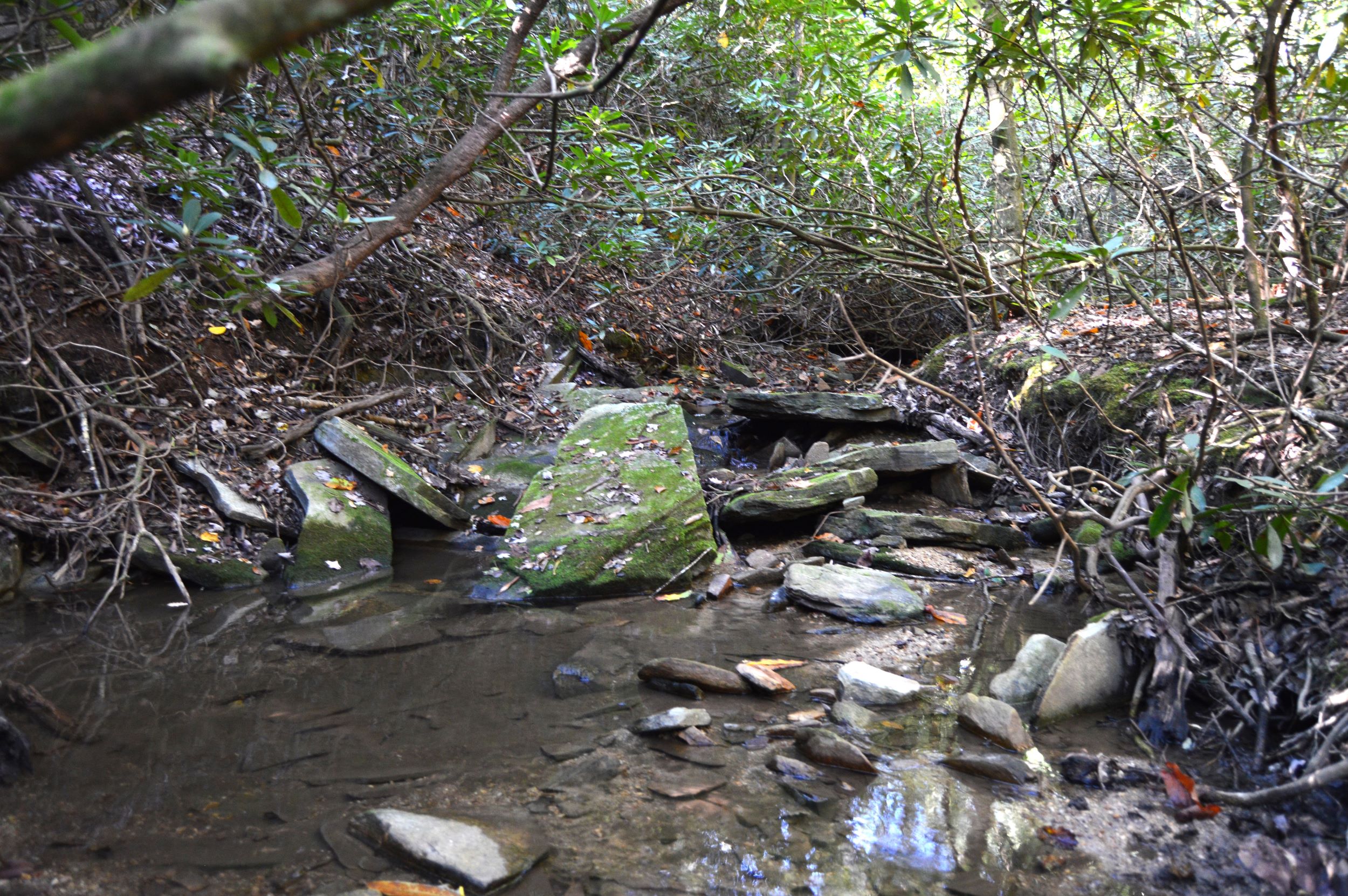 Taylor Lake Tract – 97 AC