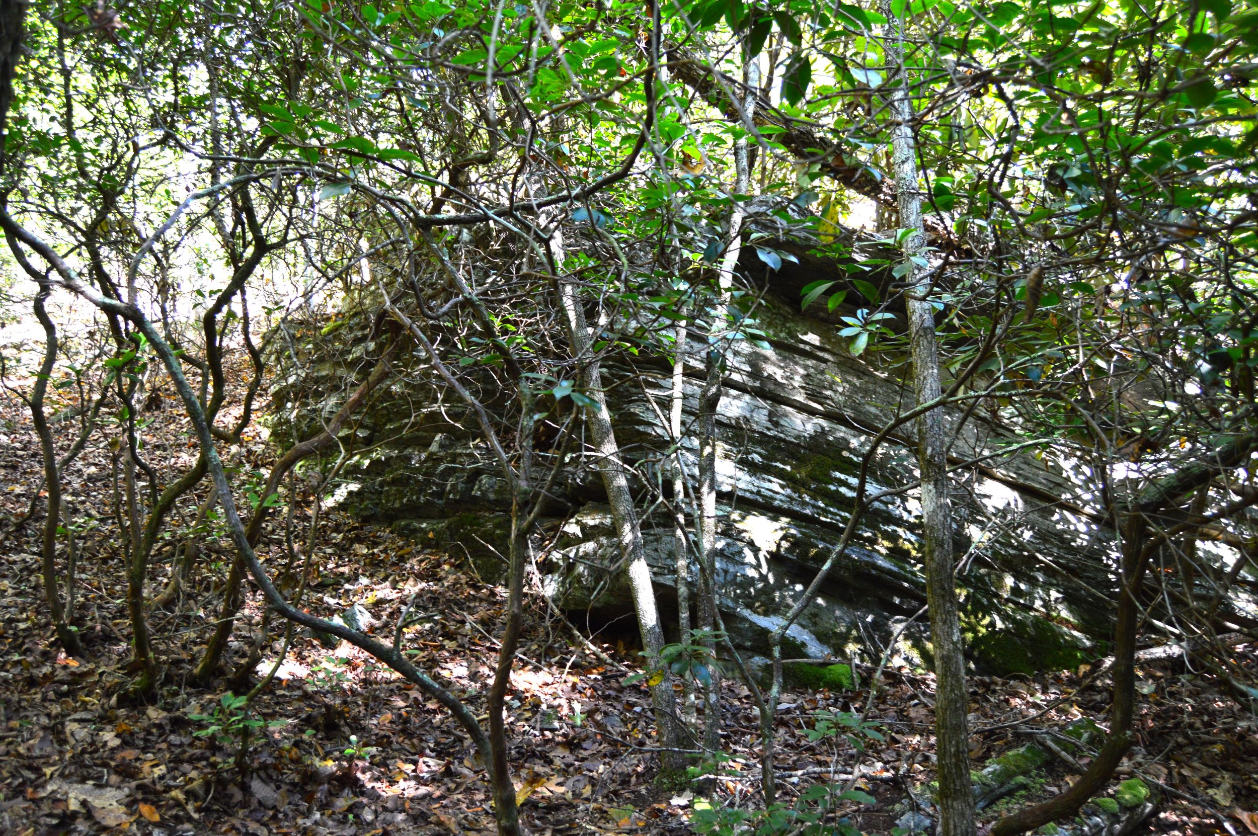 Taylor Lake Tract – 97 AC