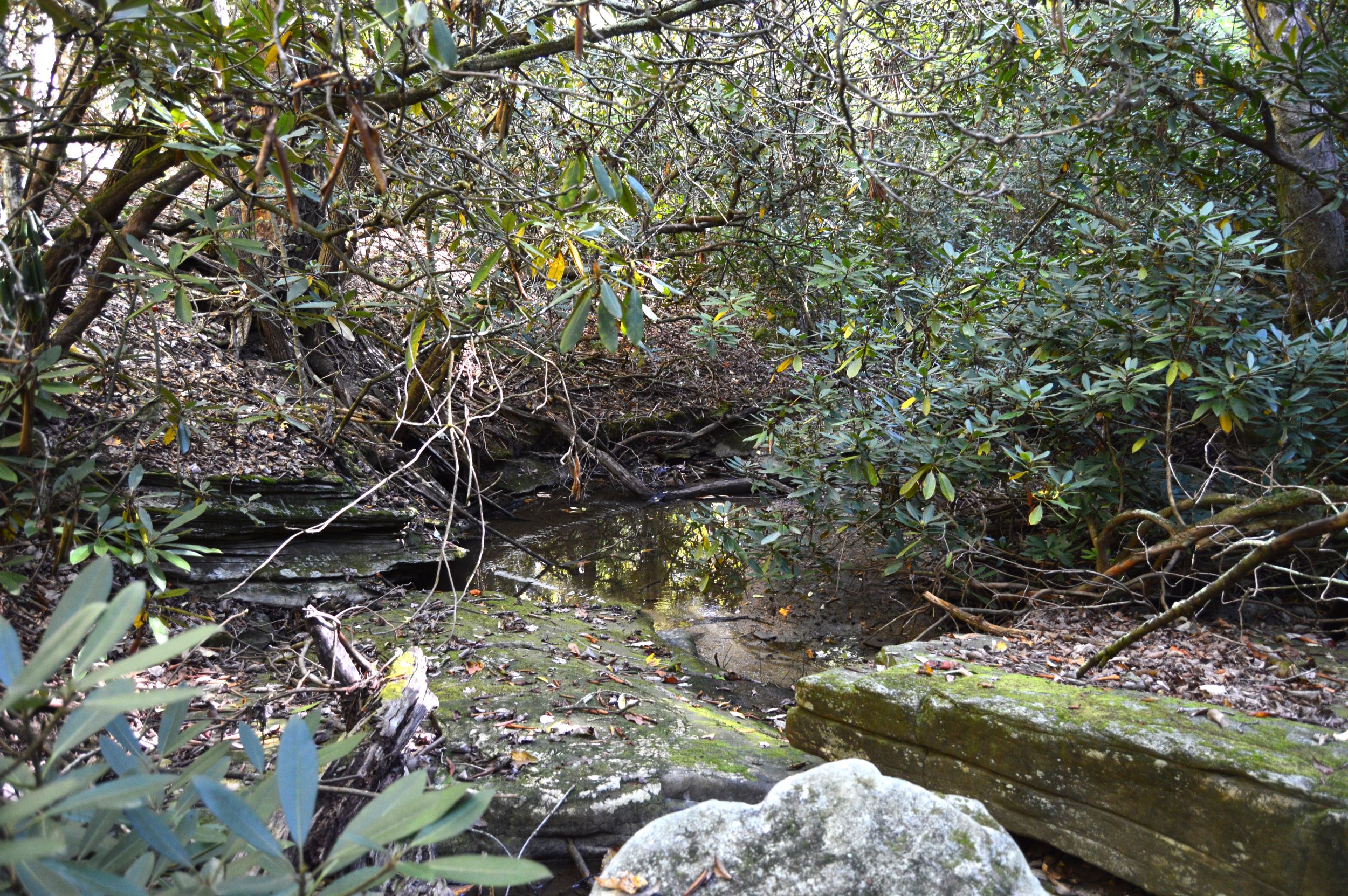 Taylor Lake Tract – 97 AC