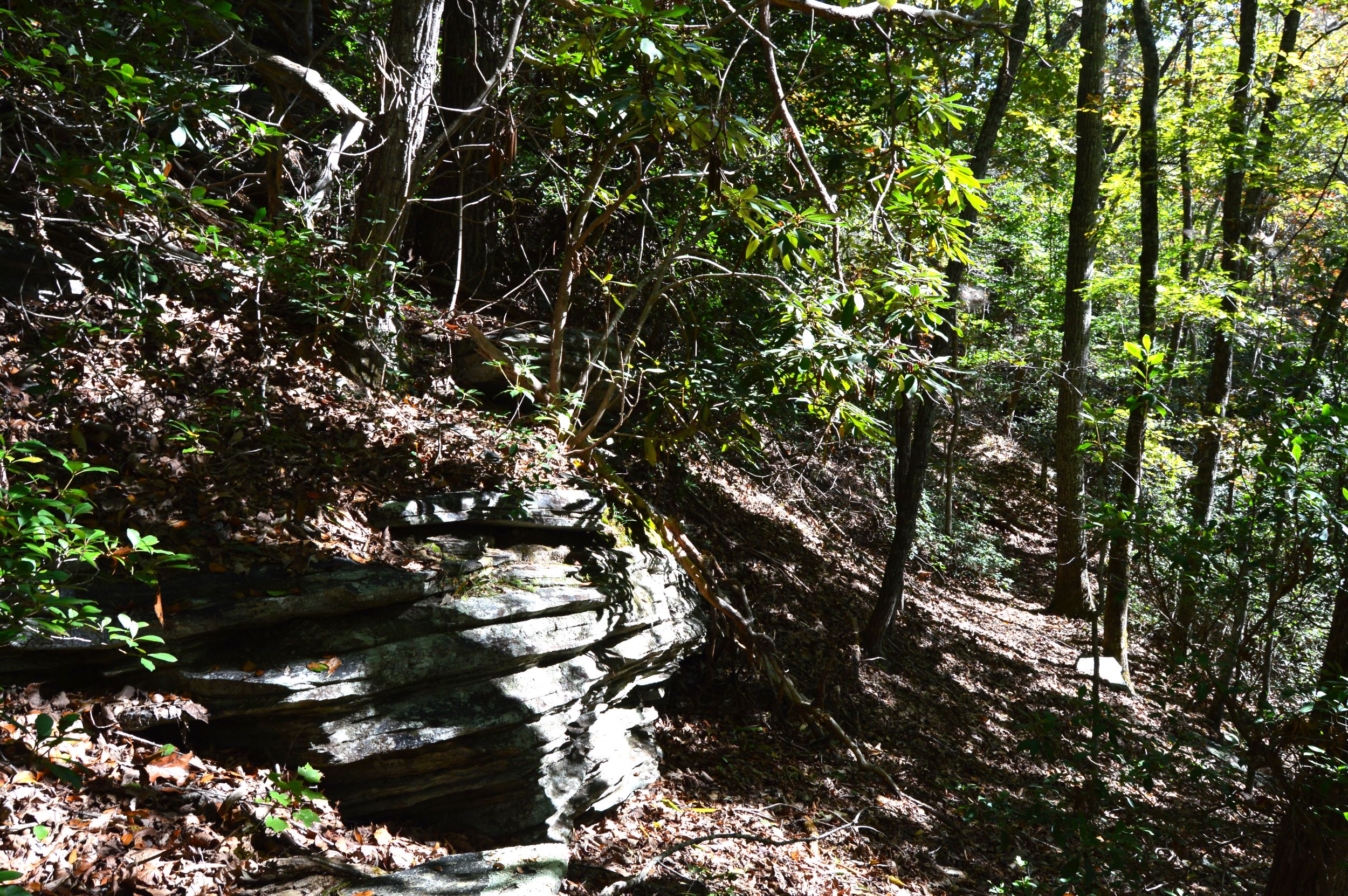 Taylor Lake Tract – 97 AC