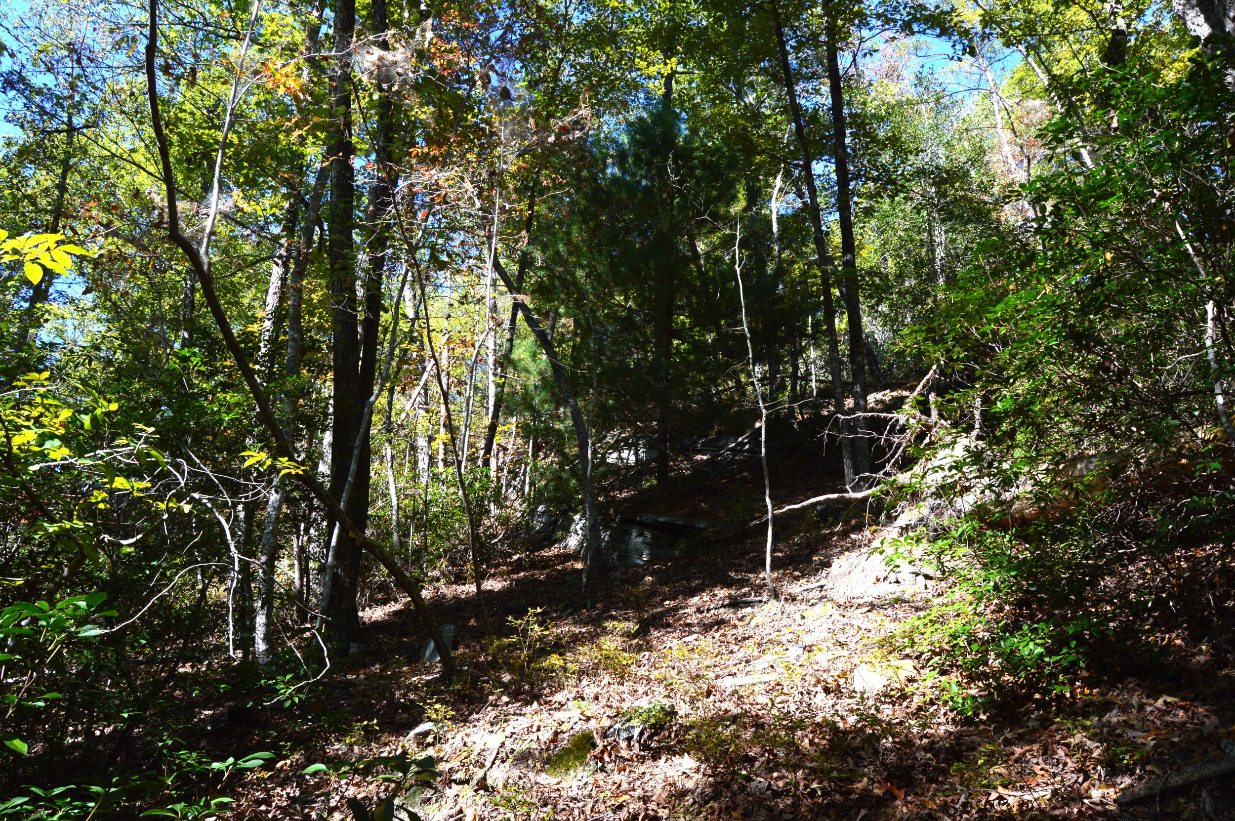 Taylor Lake Tract – 97 AC