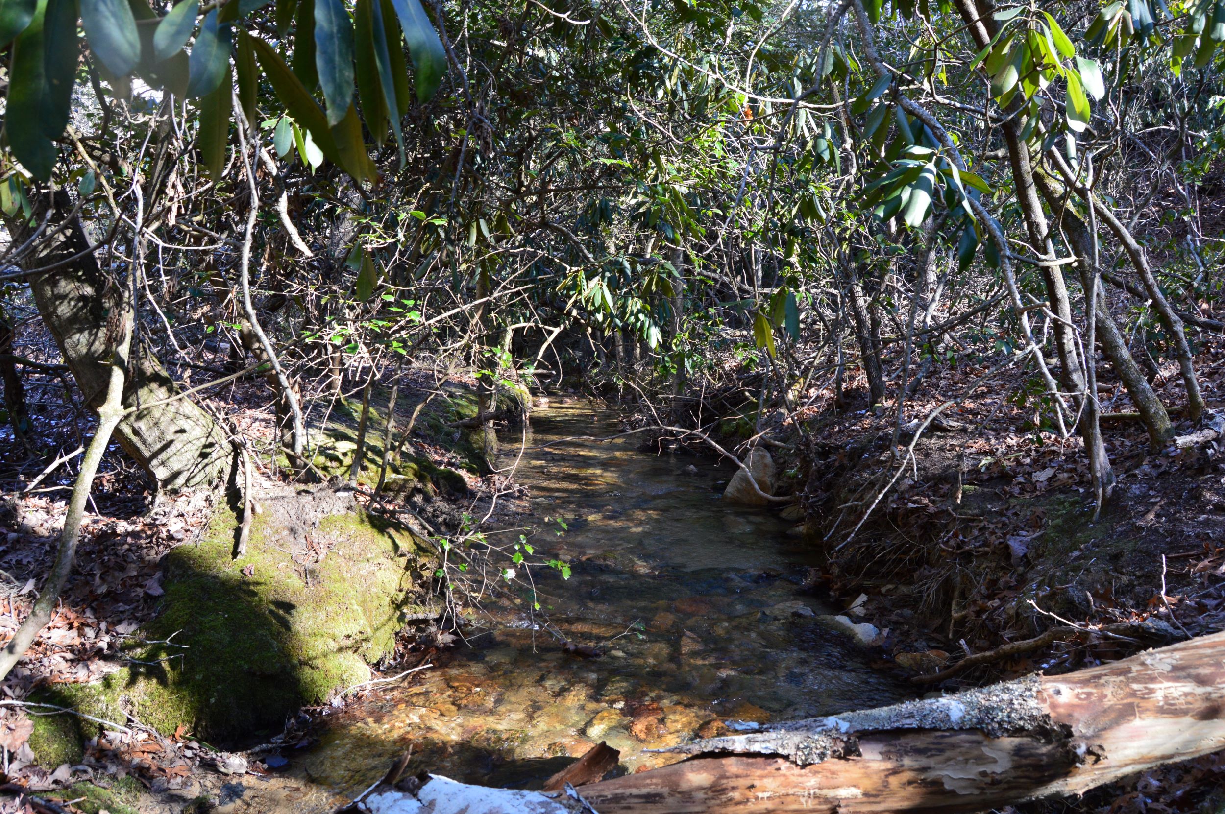 Taylor Lake Tract – 97 AC