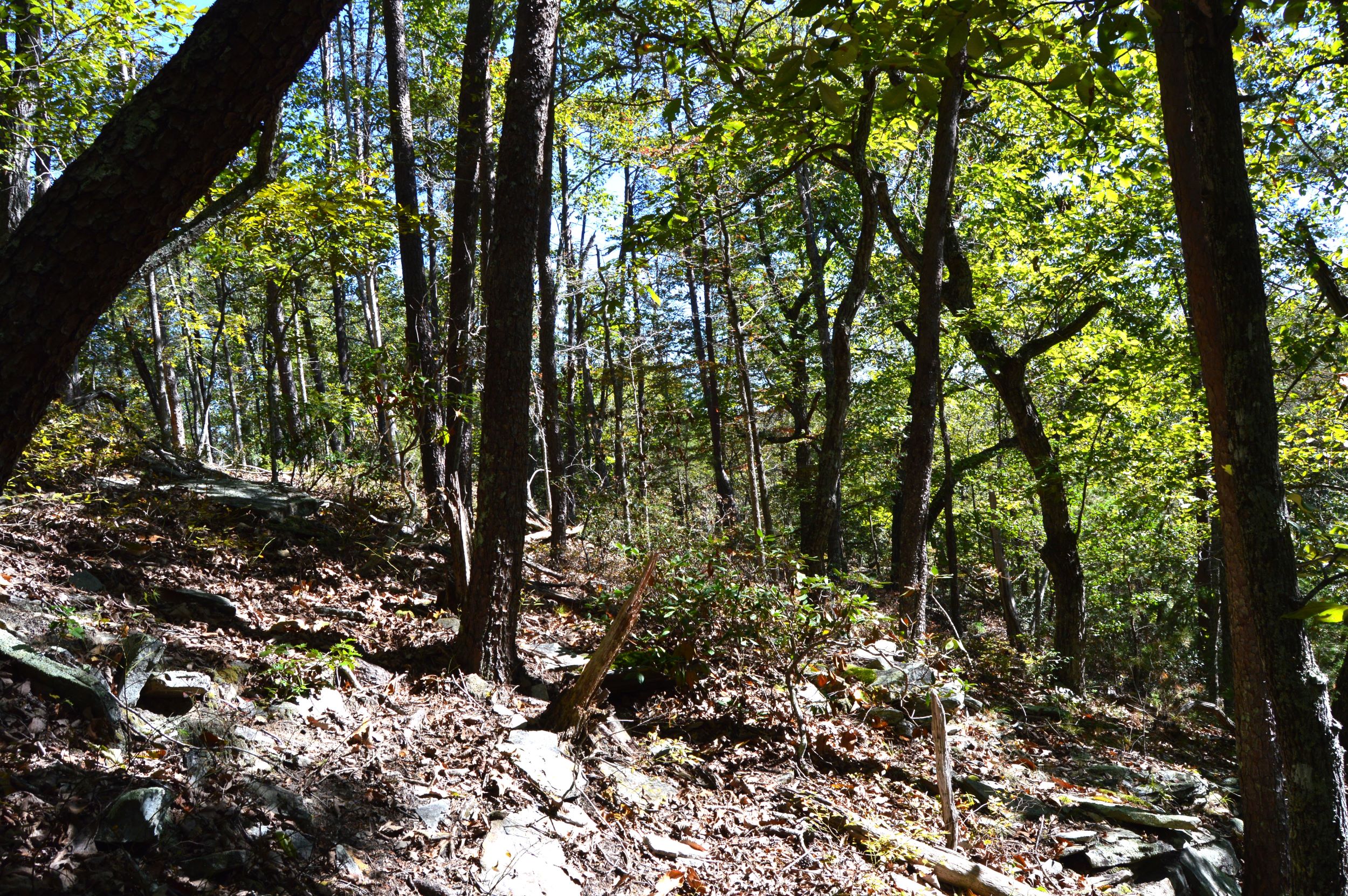 Taylor Lake Tract – 97 AC