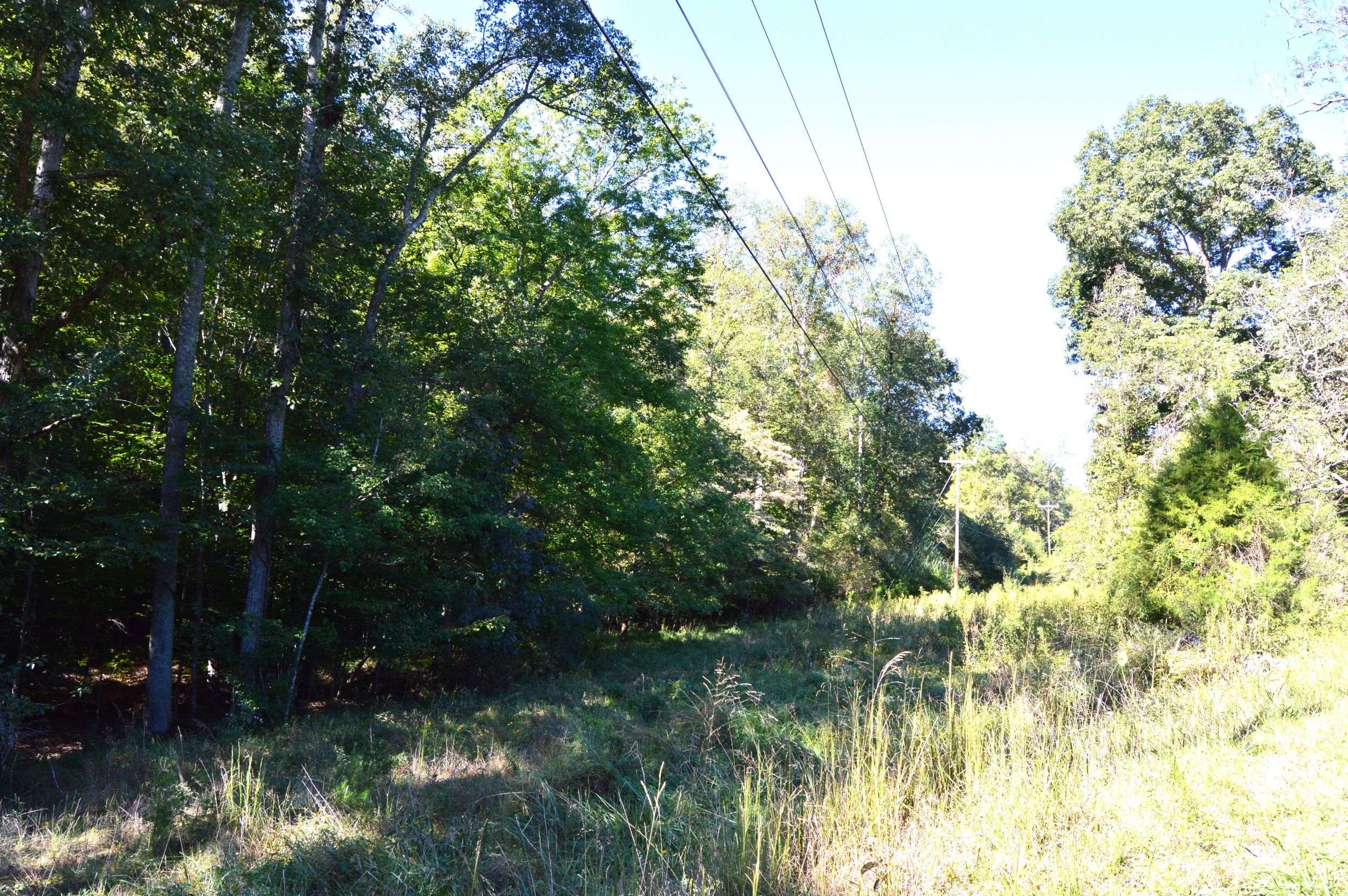 Taylor Lake Tract – 97 AC