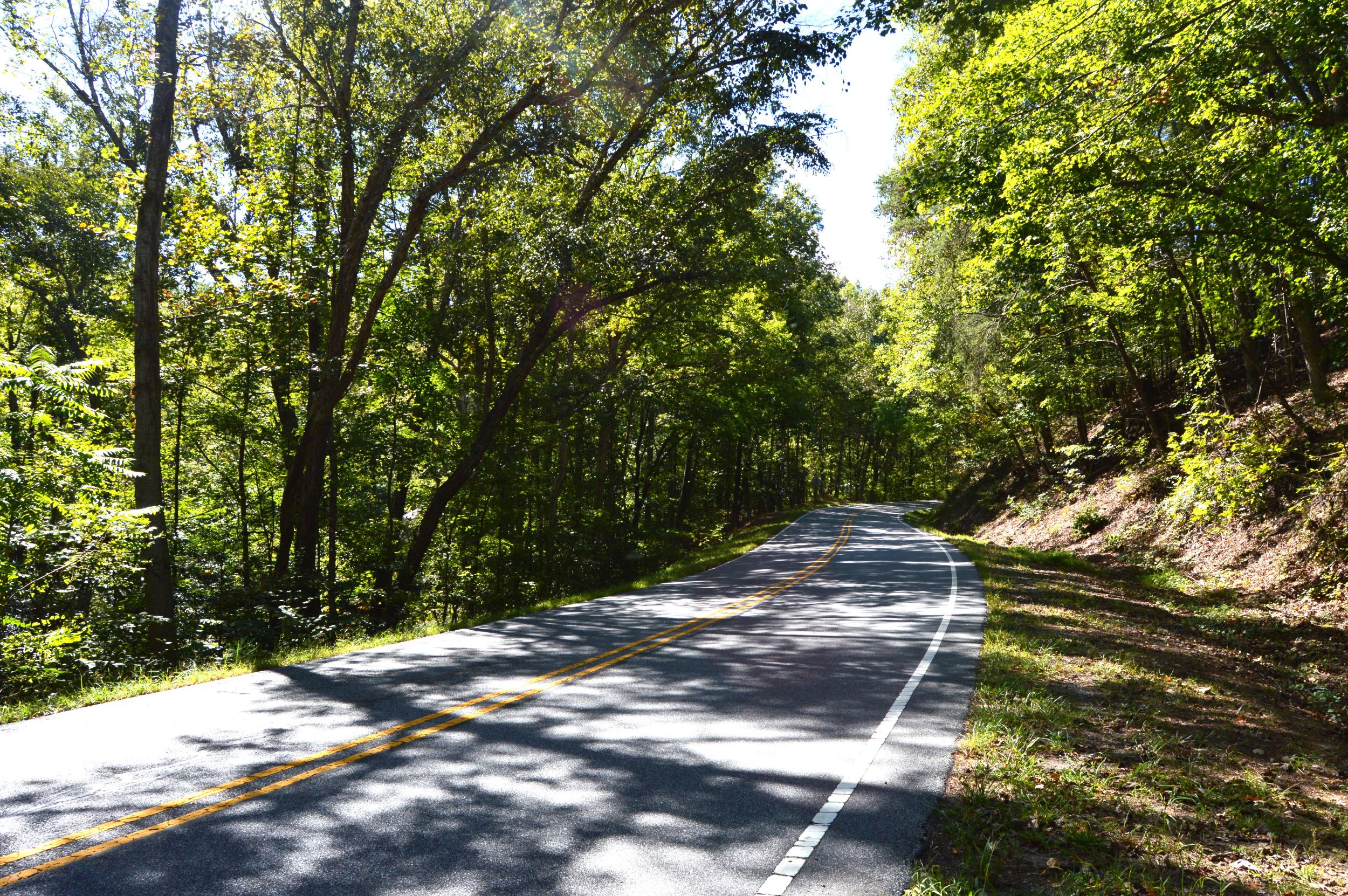 Taylor Lake Tract – 97 AC