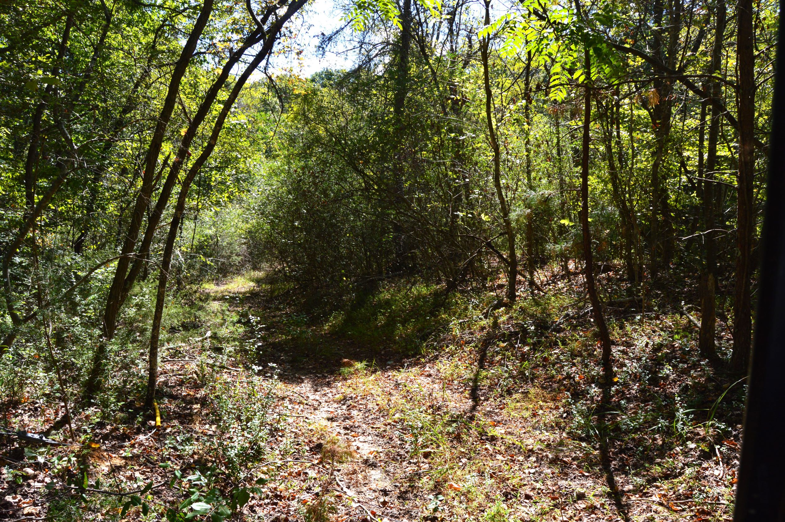 Taylor Lake Tract – 97 AC