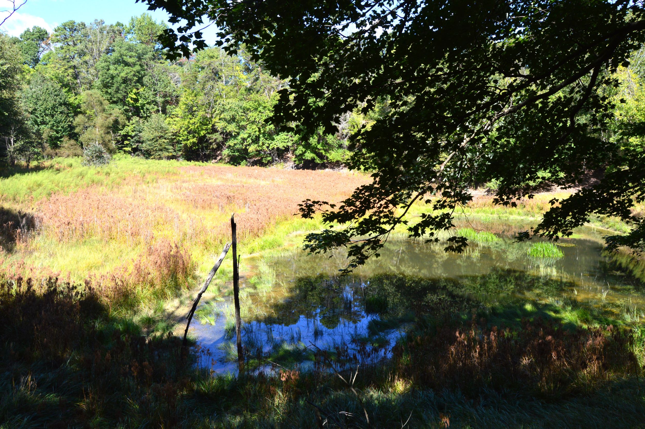 Taylor Lake Tract – 97 AC