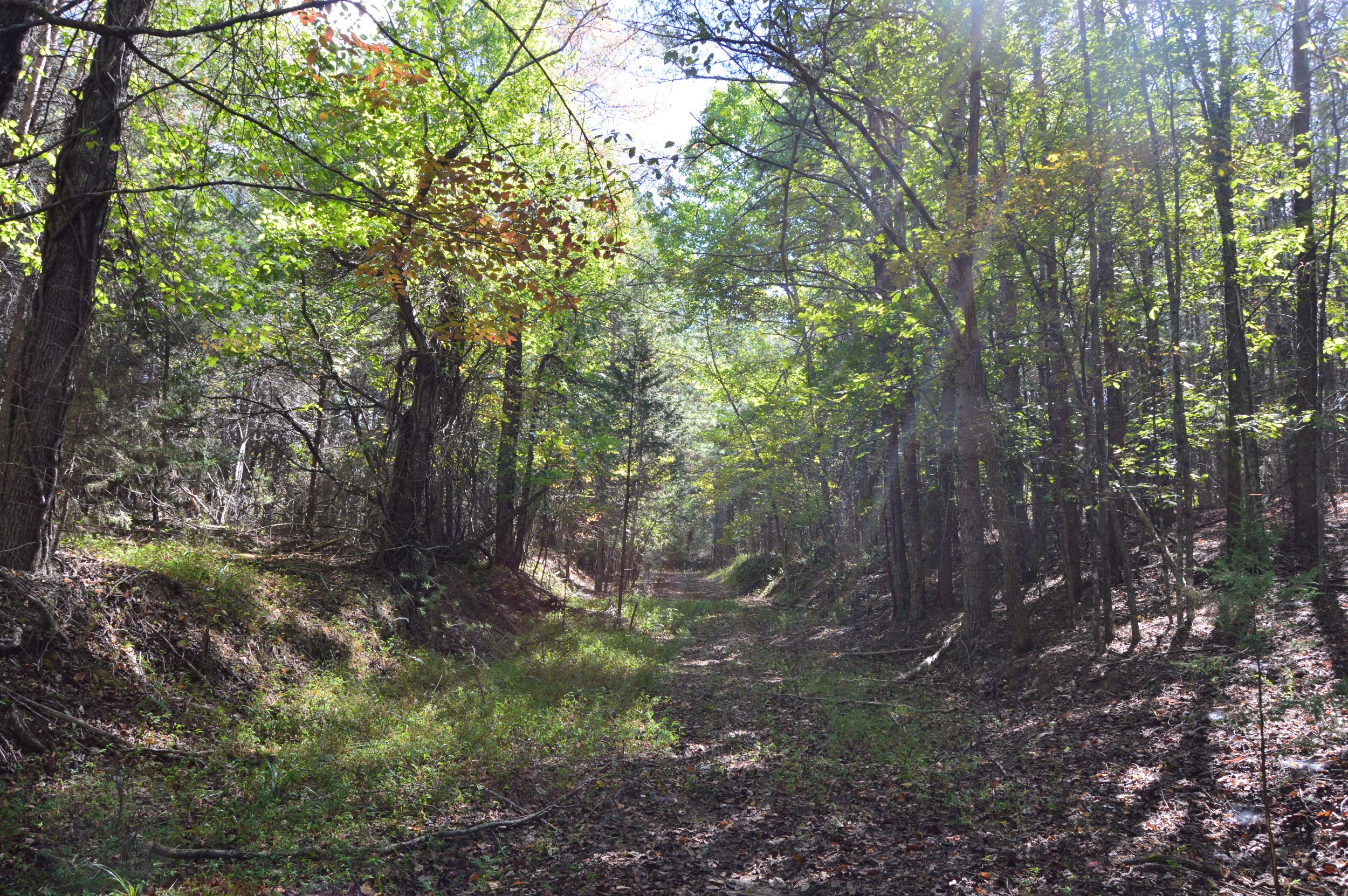 Taylor Lake Tract – 97 AC