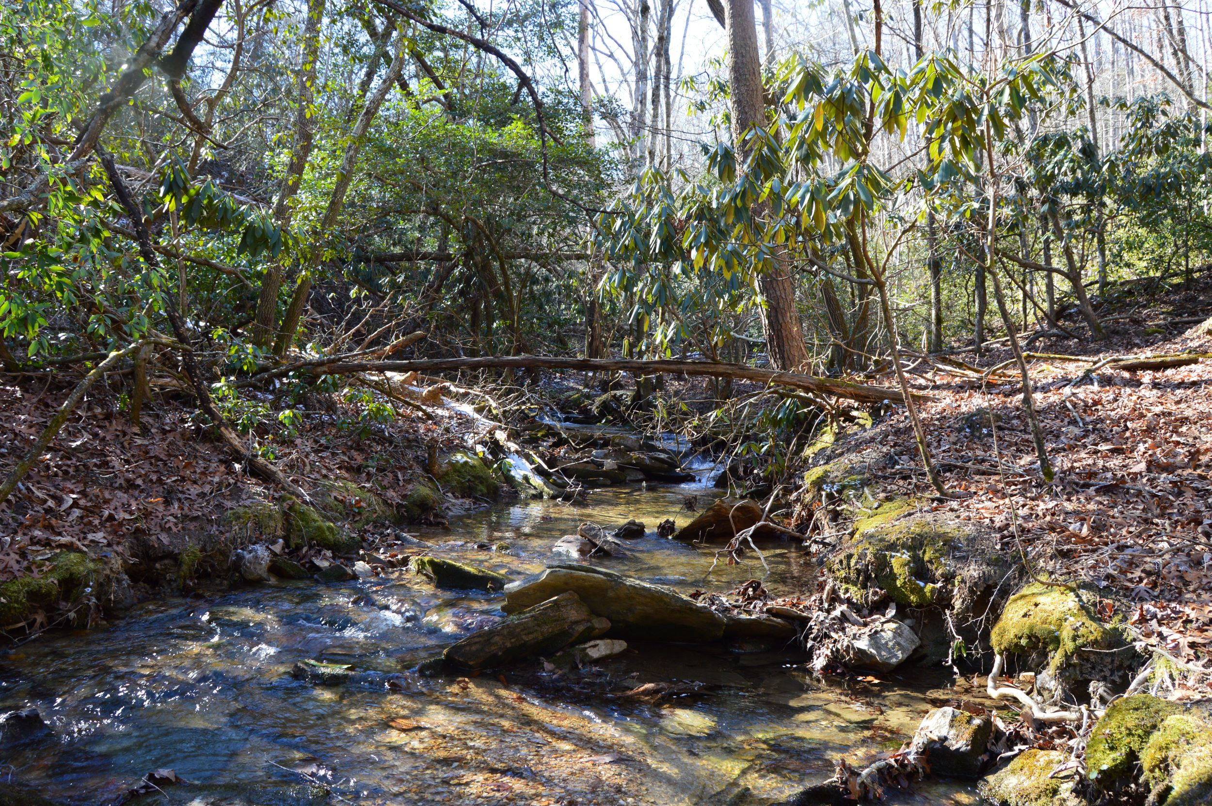 Taylor Lake Tract – 97 AC