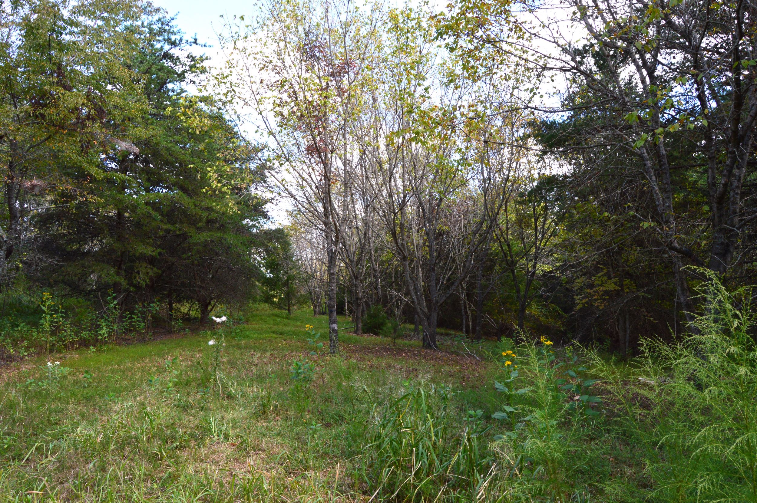 Taylor Lake Tract – 97 AC