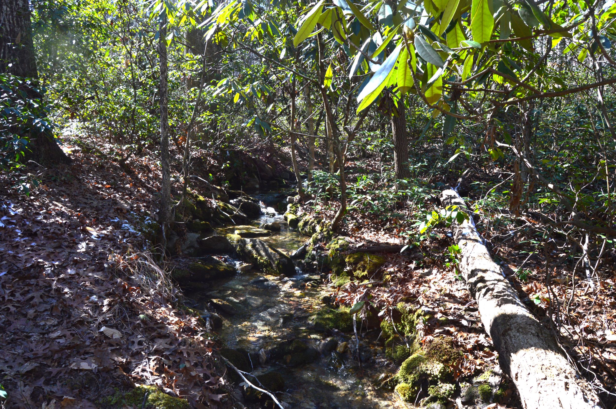 Taylor Lake Tract – 97 AC
