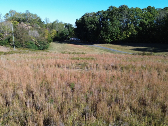 Ashley Loop Rd – 7.5 AC